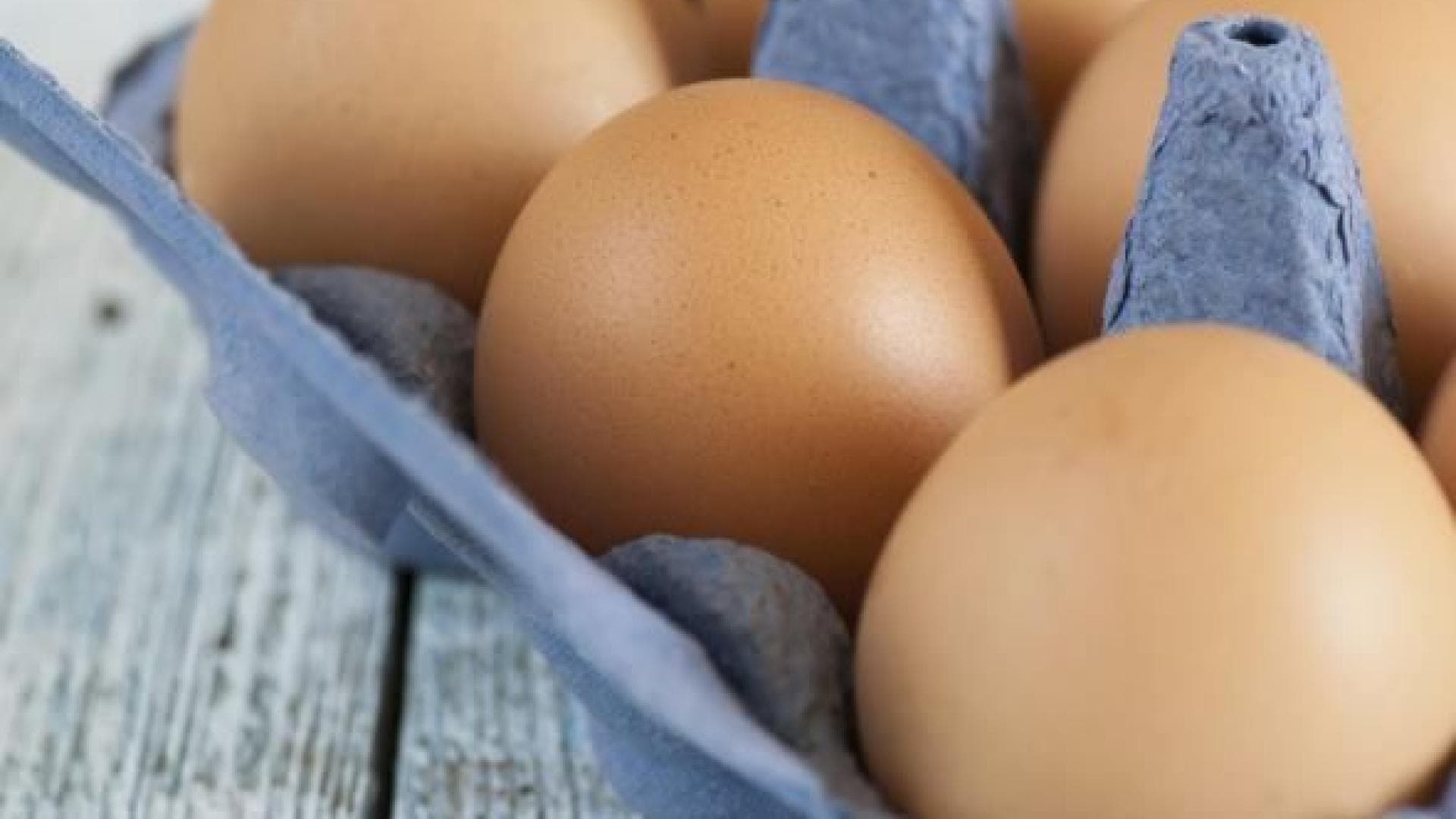 Eier Eier