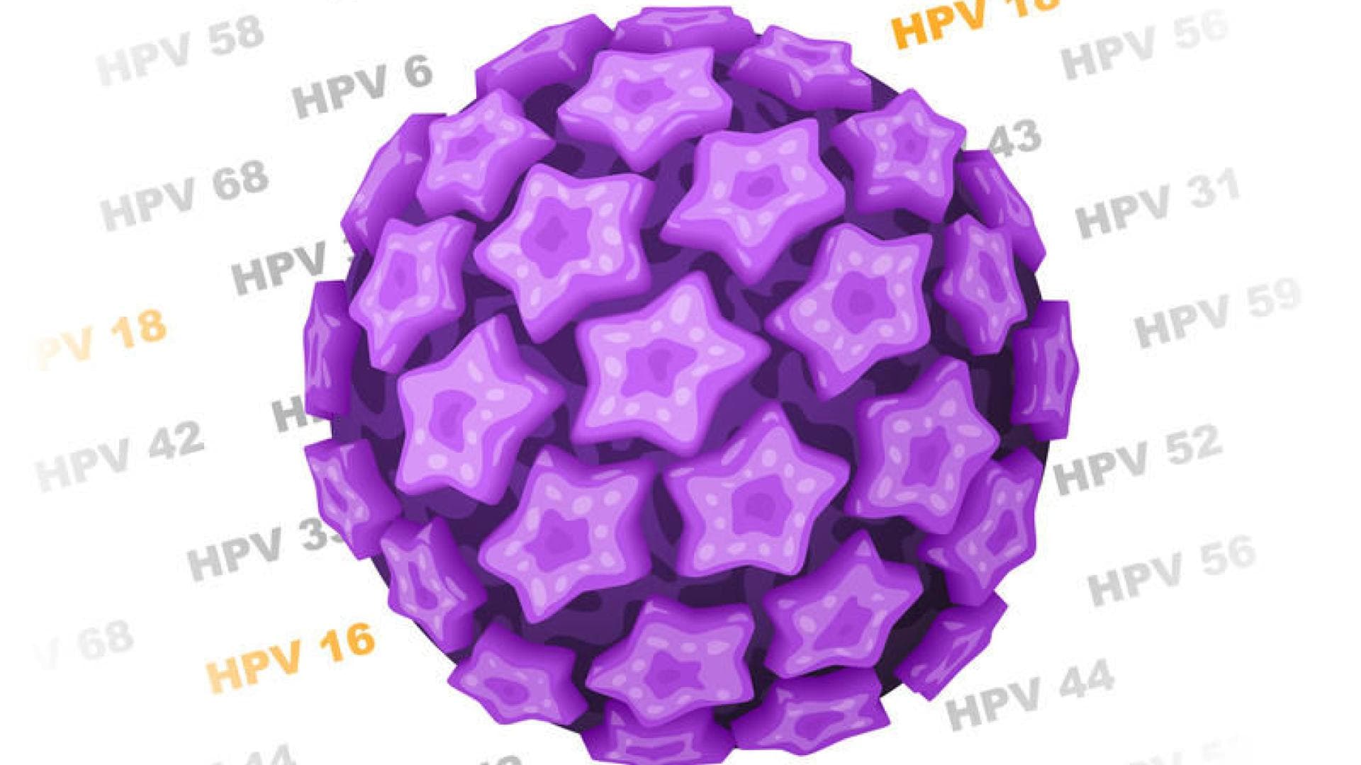 HPV-Erreger