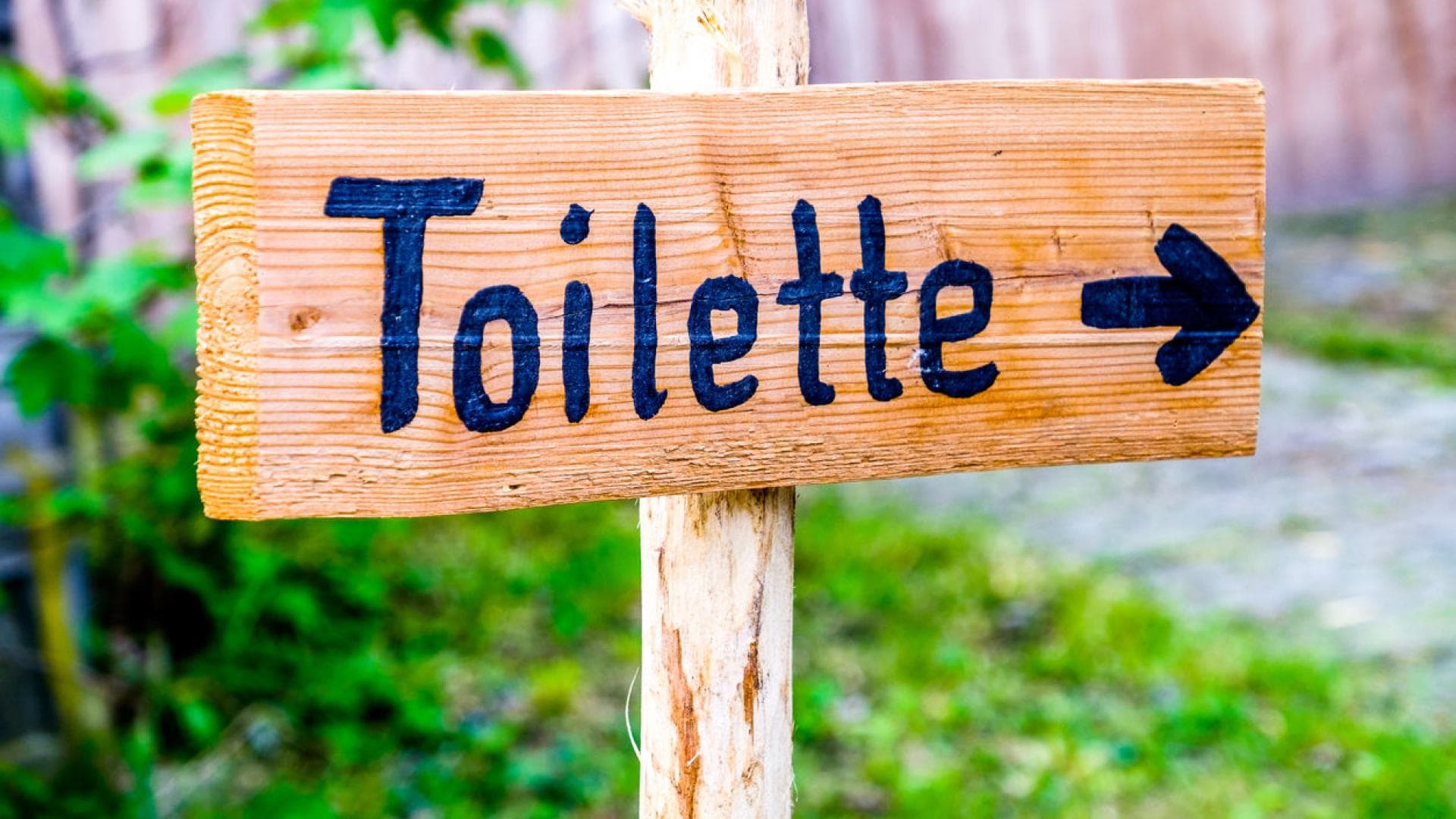 Toilettenschild