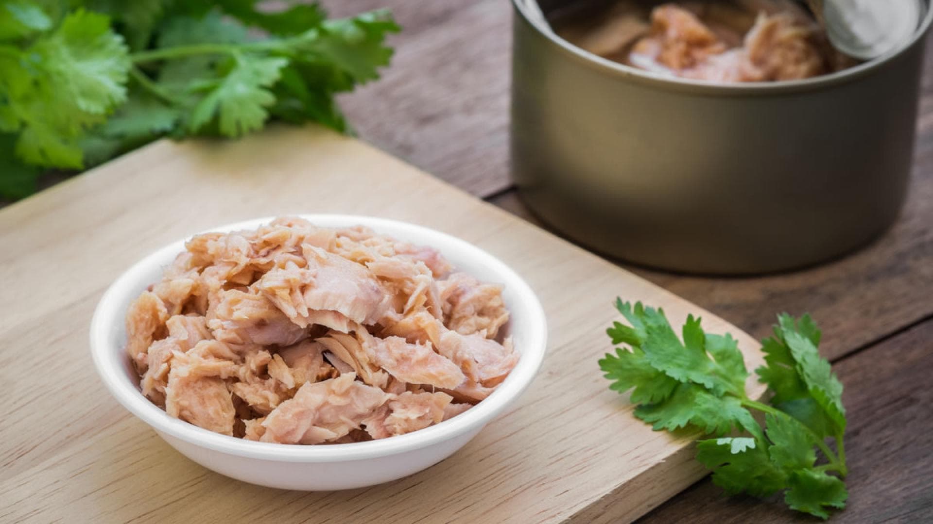 Dosen-Thunfisch auf einem Teller mit Kräutern