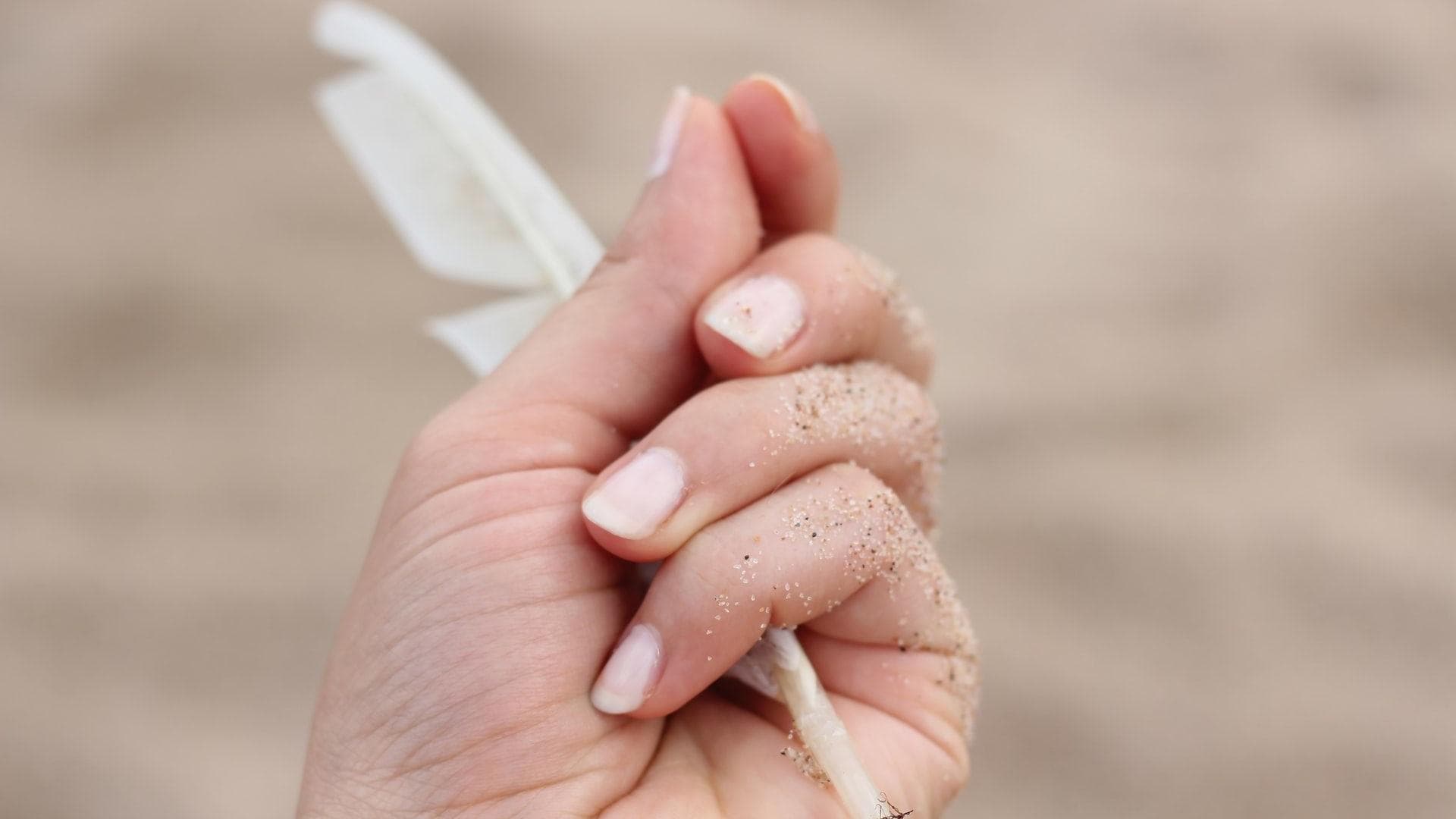hand-mit-feder