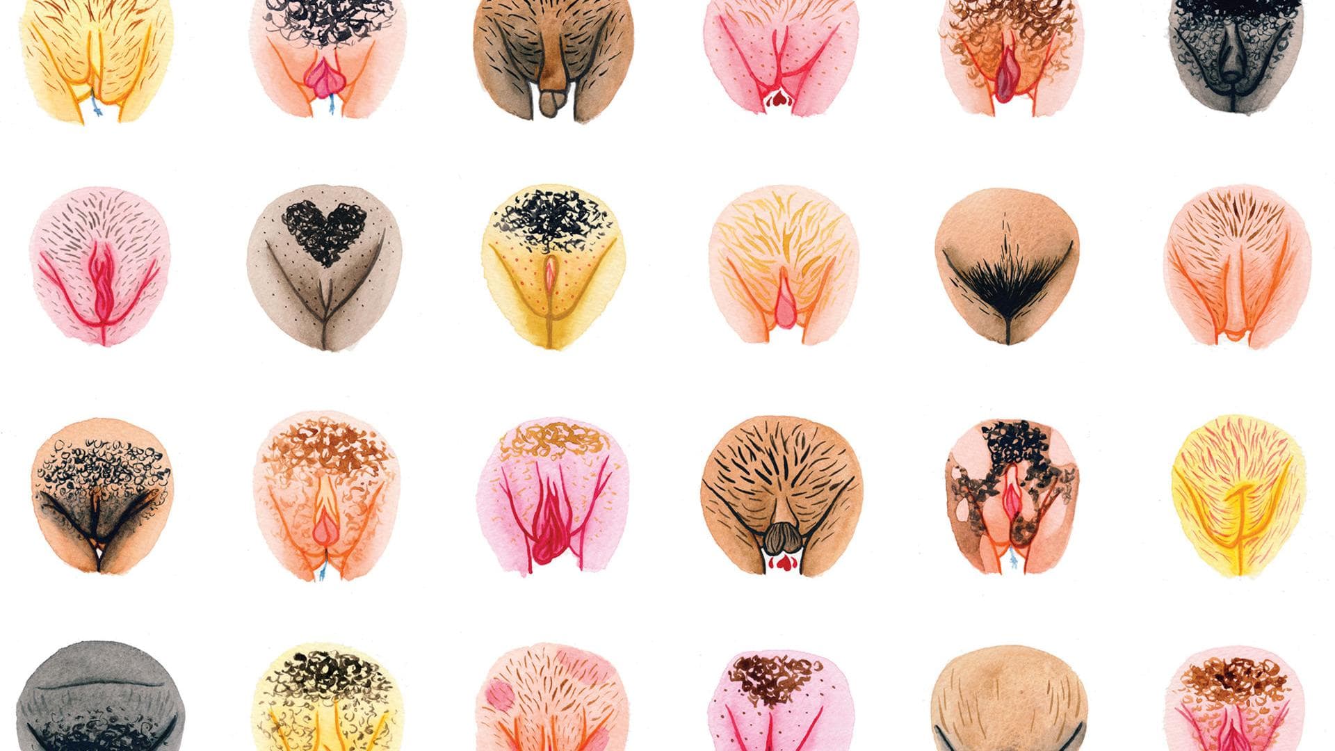 Jede Vulva ist anders