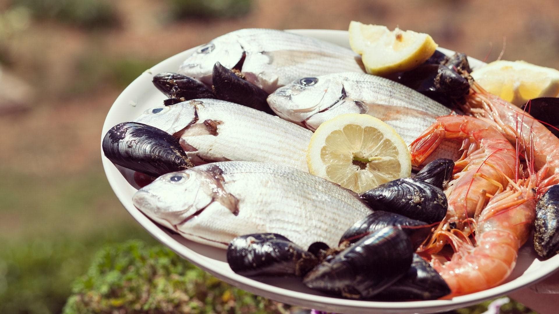 Fisch-und-Meeresfrüchte-Teller Meeresfrüchte sind stark säurebildend.
