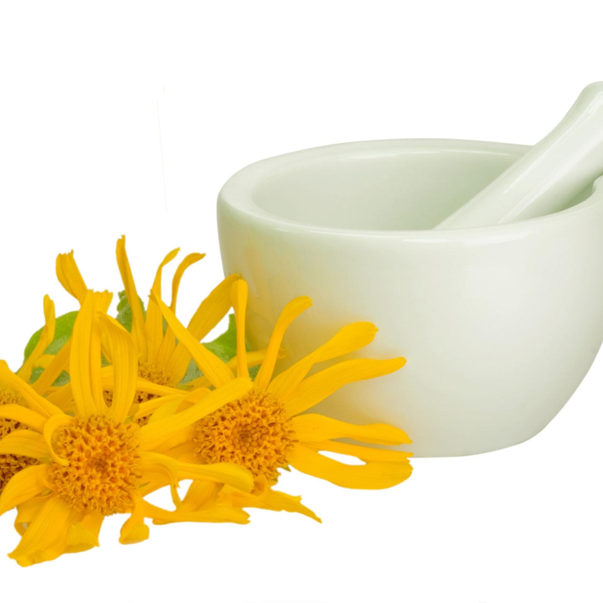 Arnica Arnica