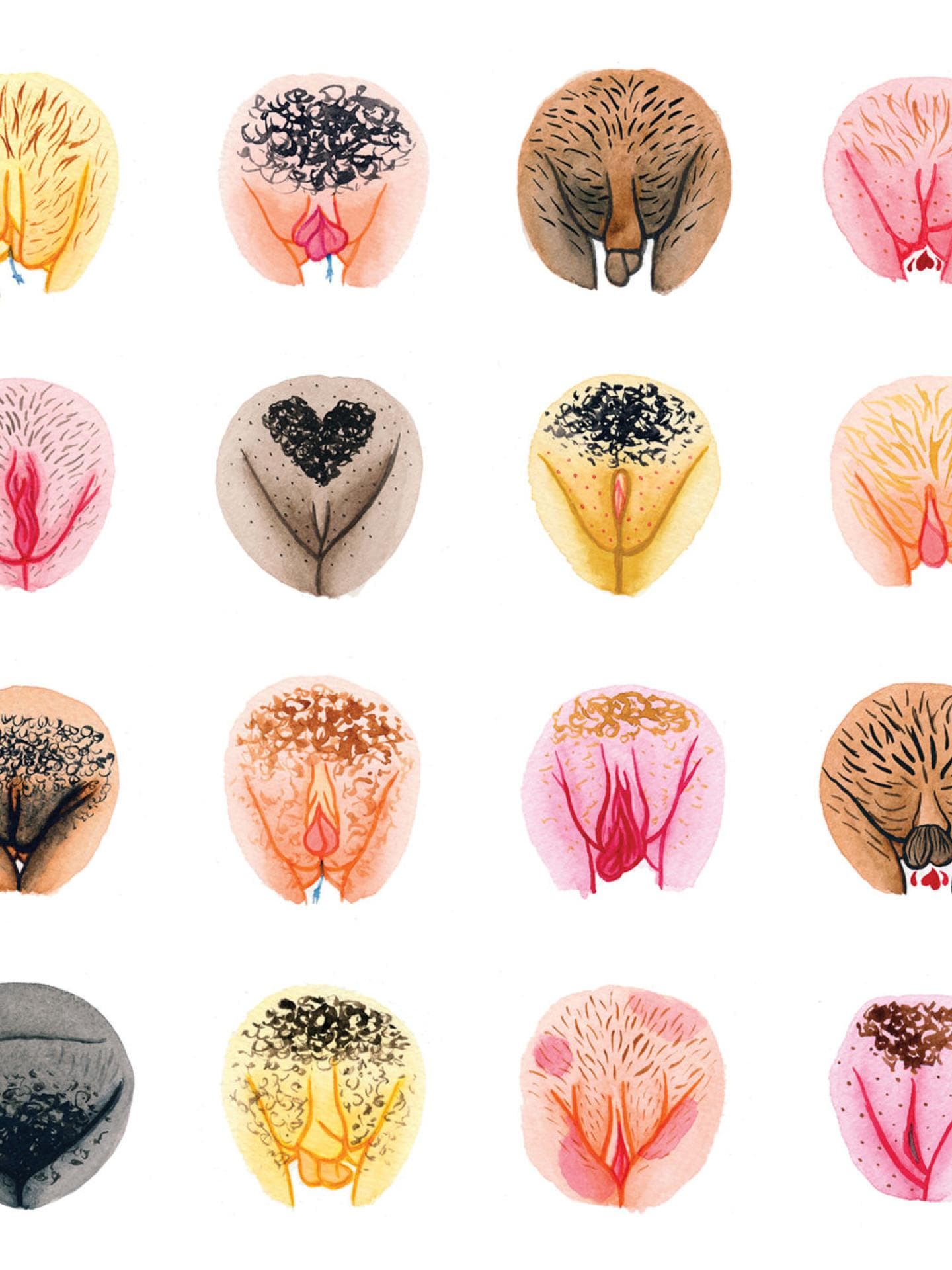Jede Vulva ist anders