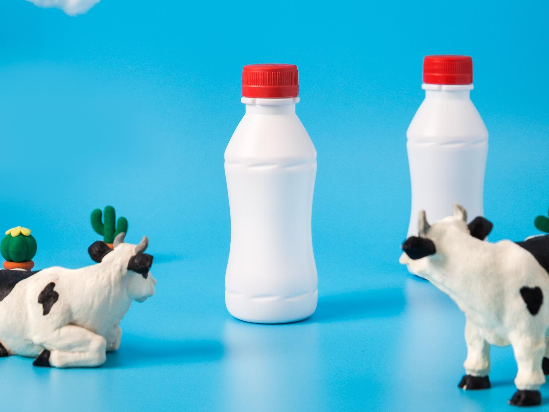 Milch