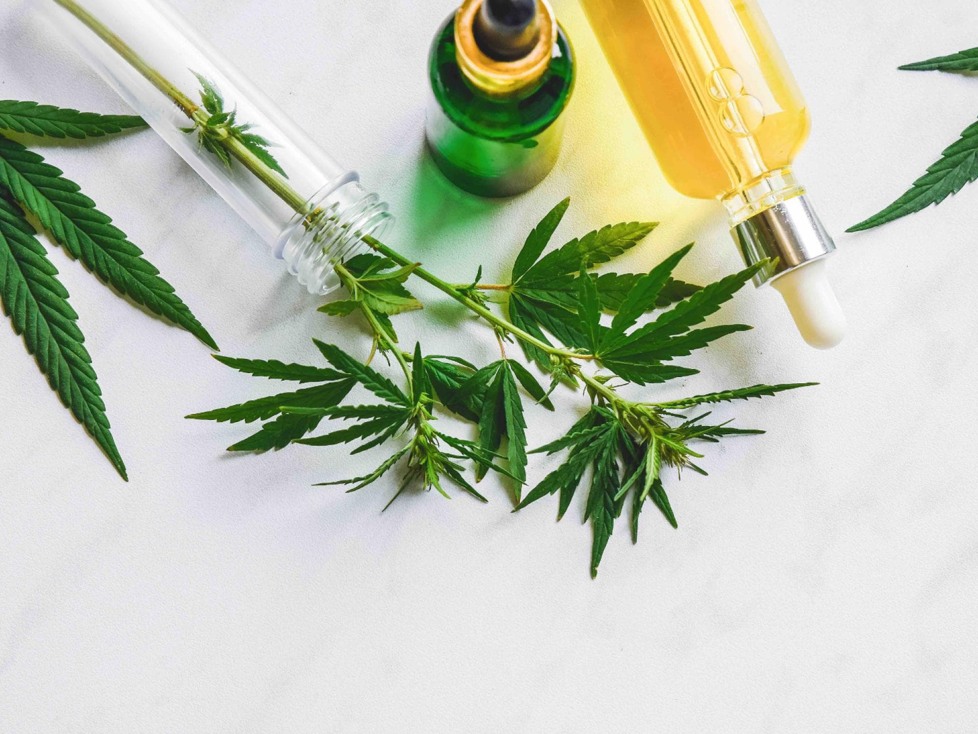 CBD Öl CBD Öl