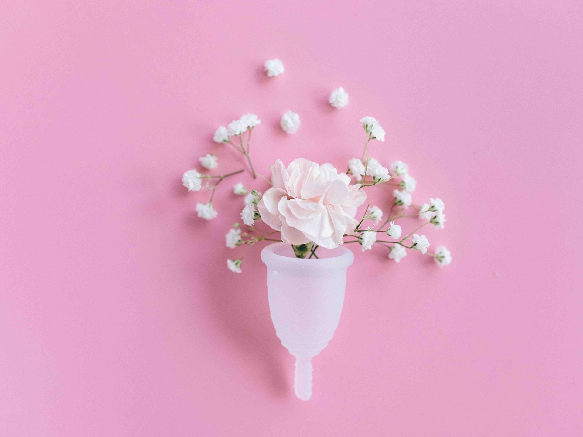 Menstruationstasse