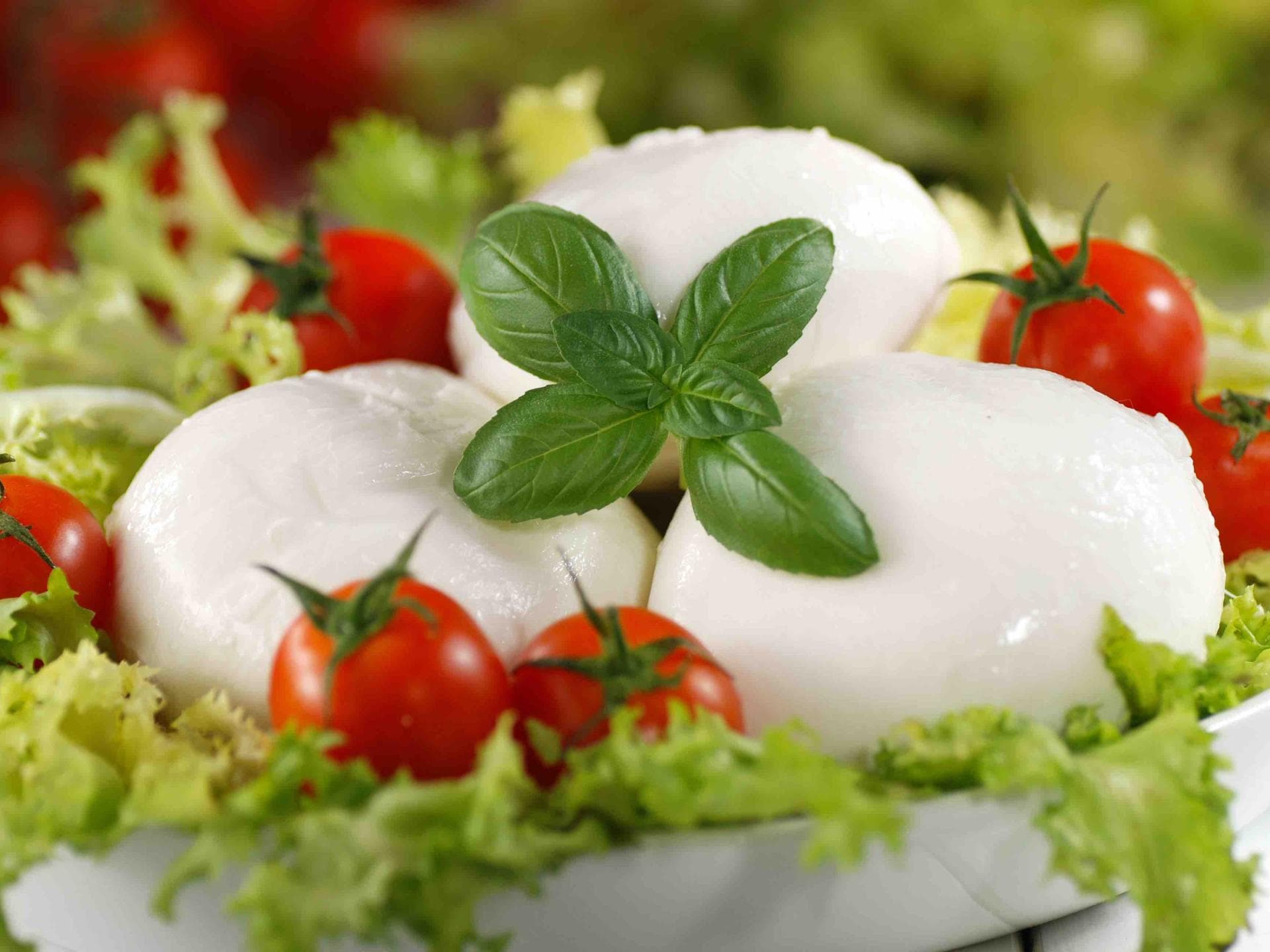 Mozzarella