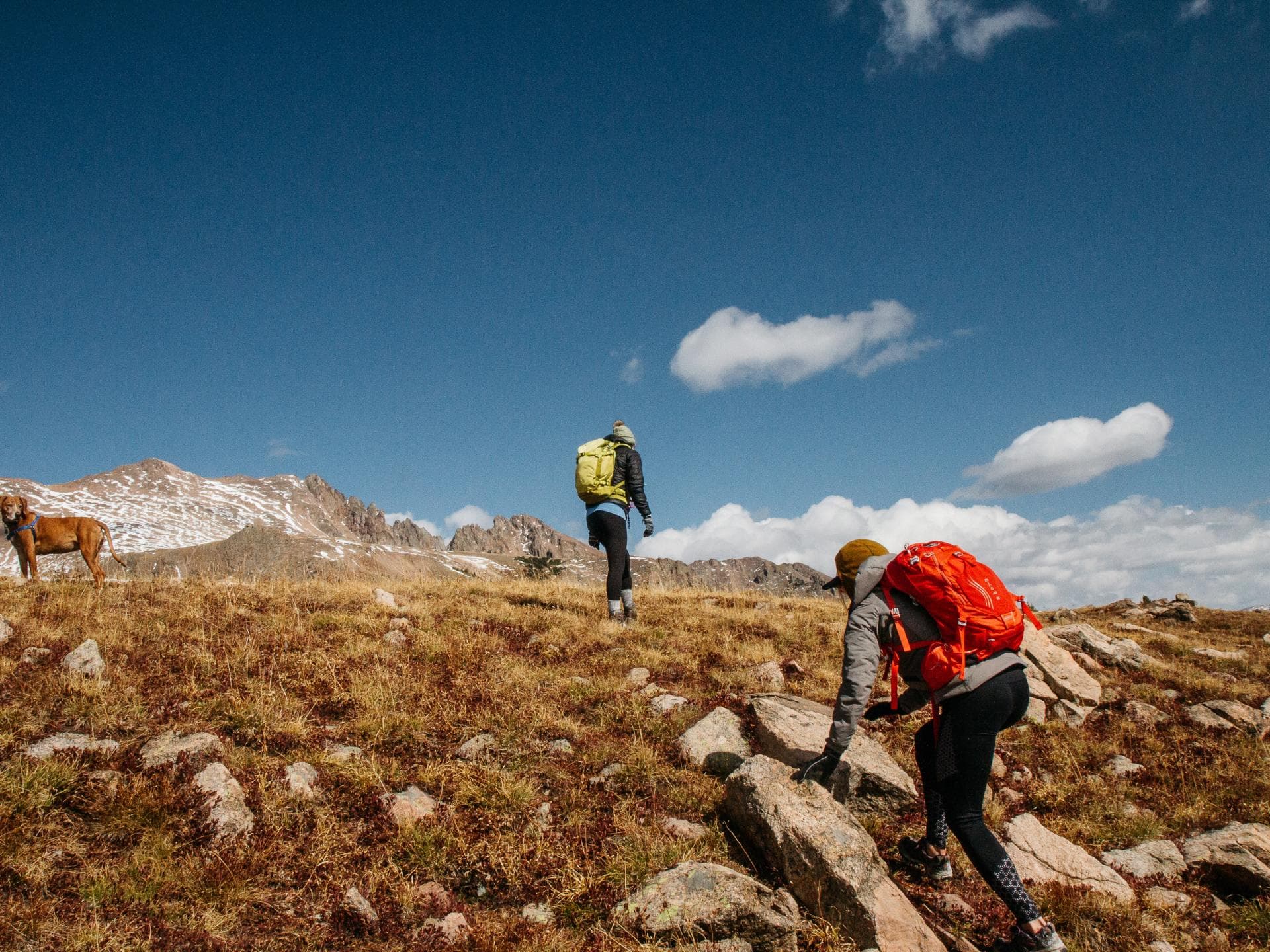Menschen wandern