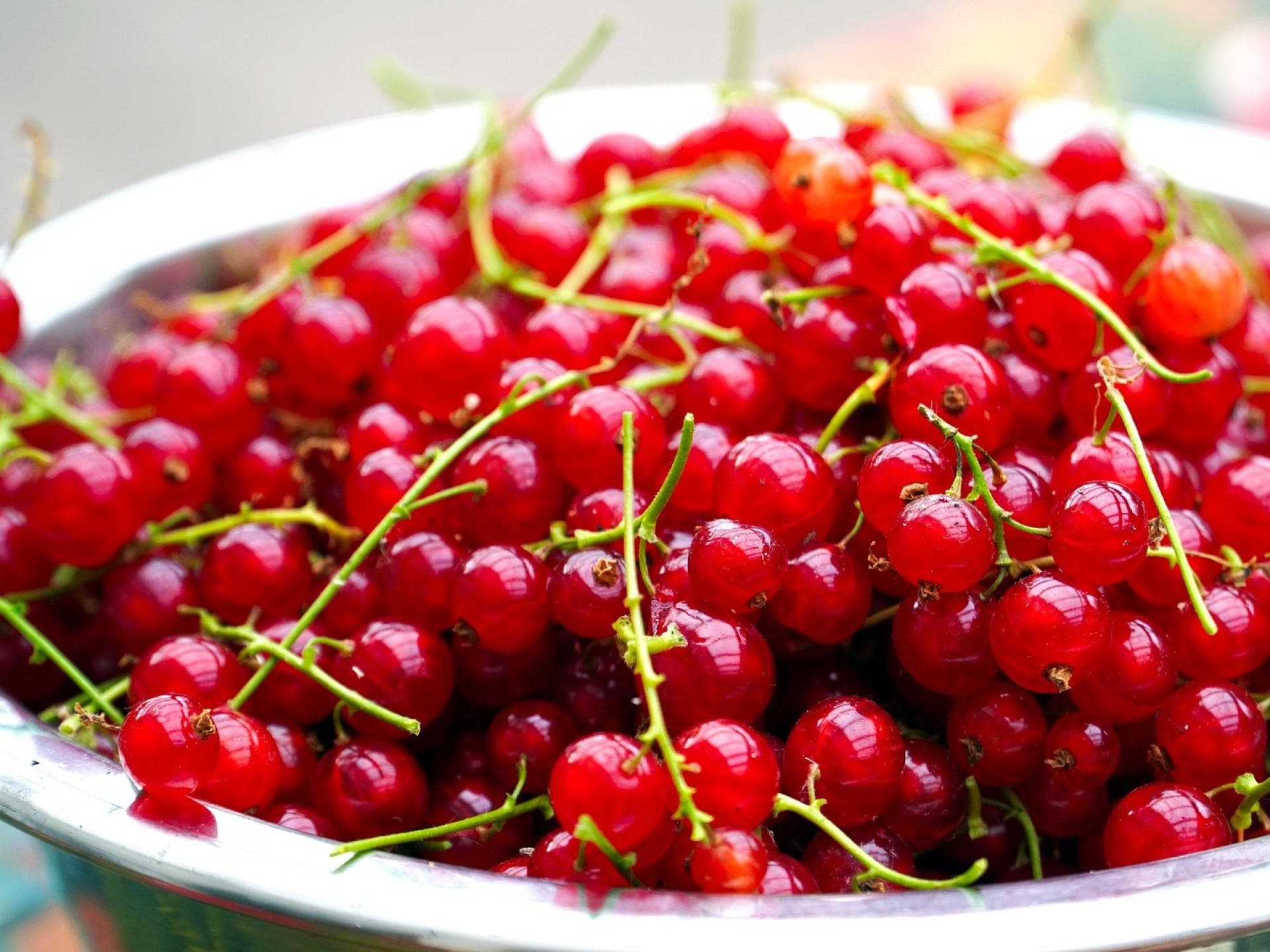 Johannisbeeren Johannisbeeren
