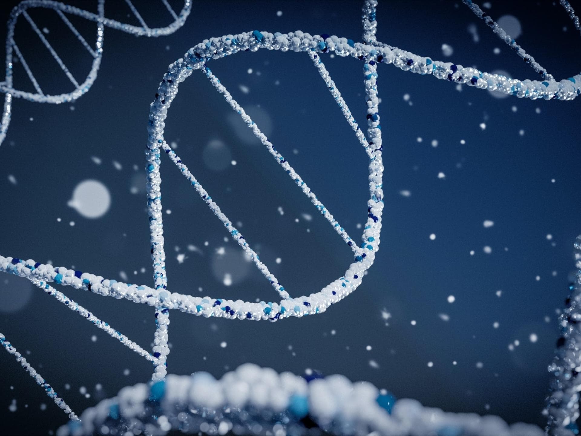 DNA-Doppelhelix