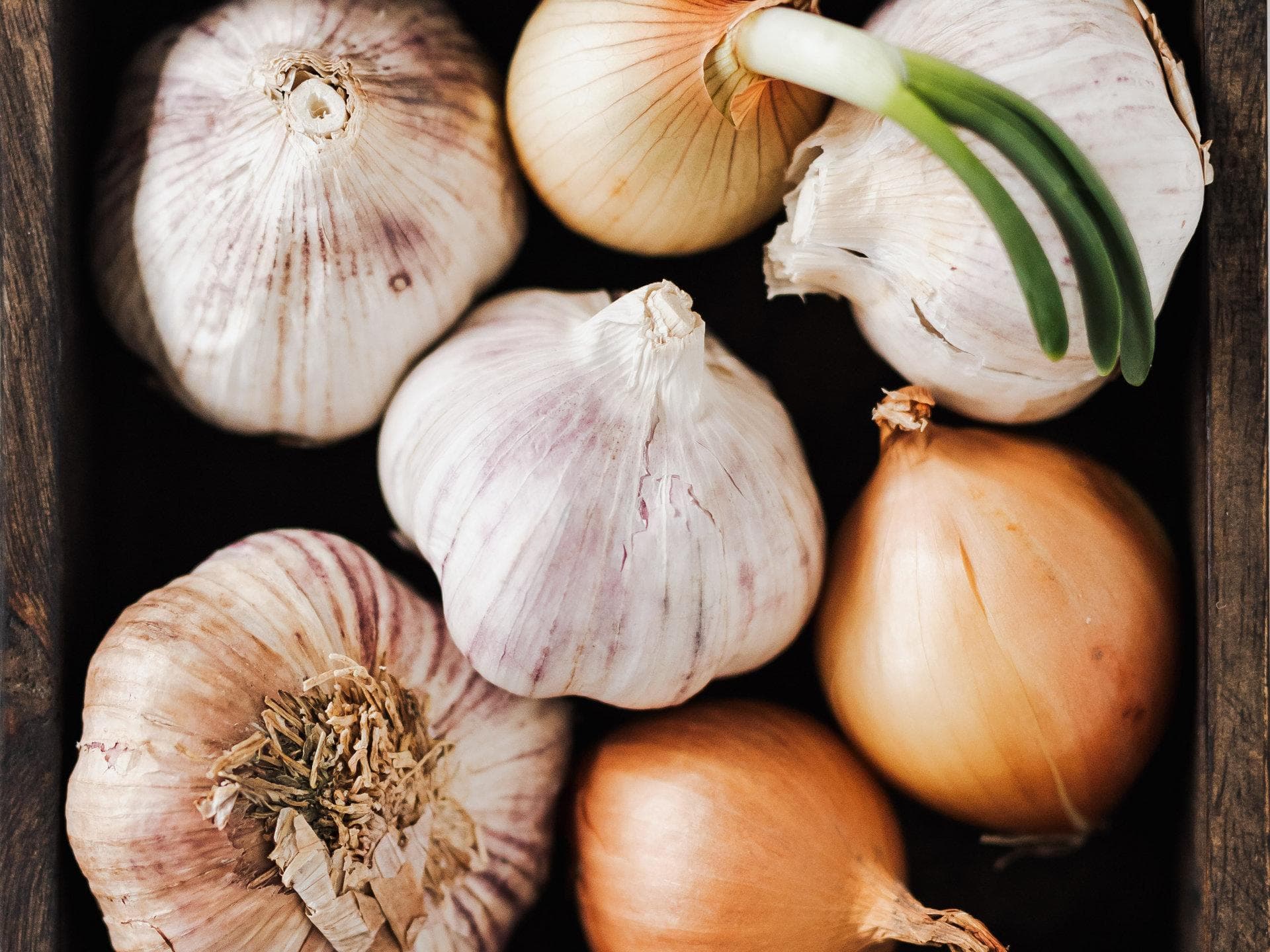 Zwiebeln und Knoblauch