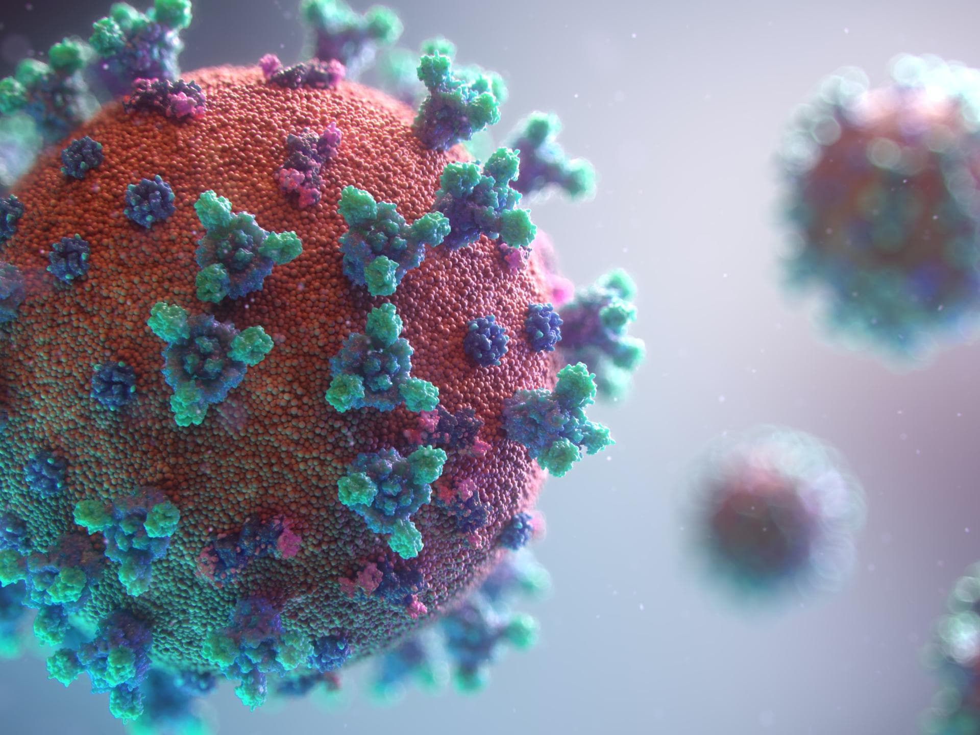 Coronavirus