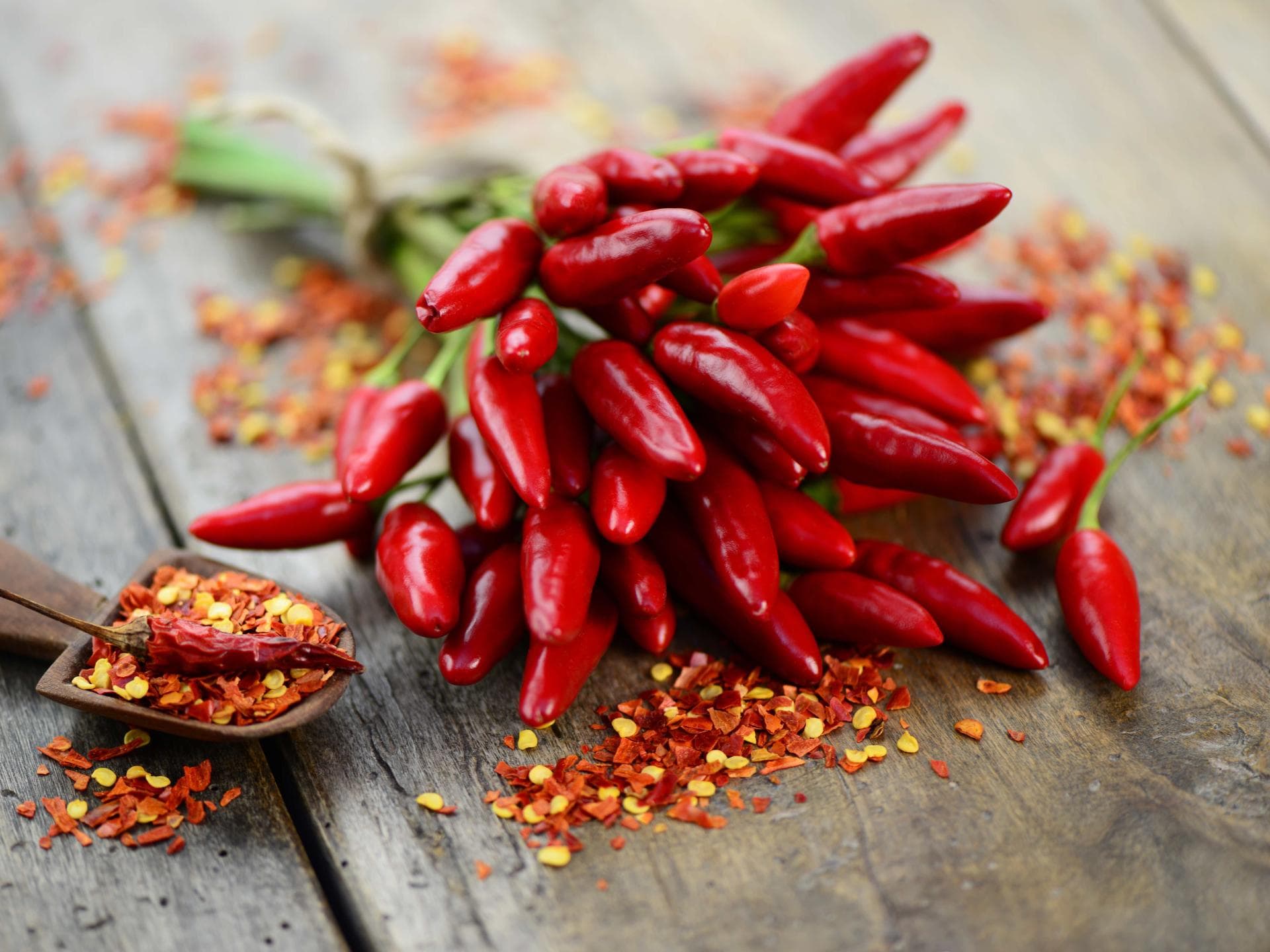Chili