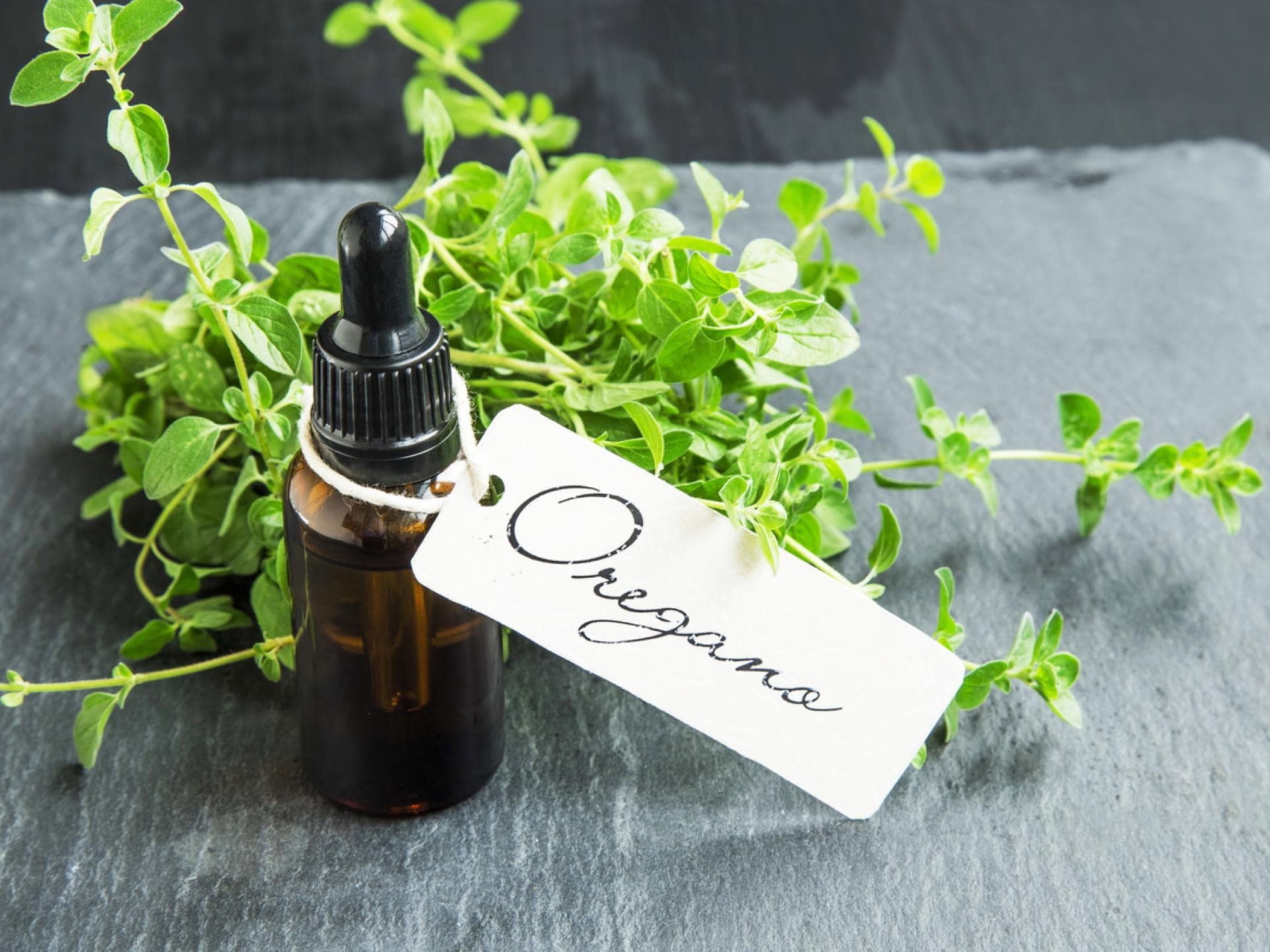 Fläschen mit Oregano-Öl und Beschriftung vor frischem Oregano