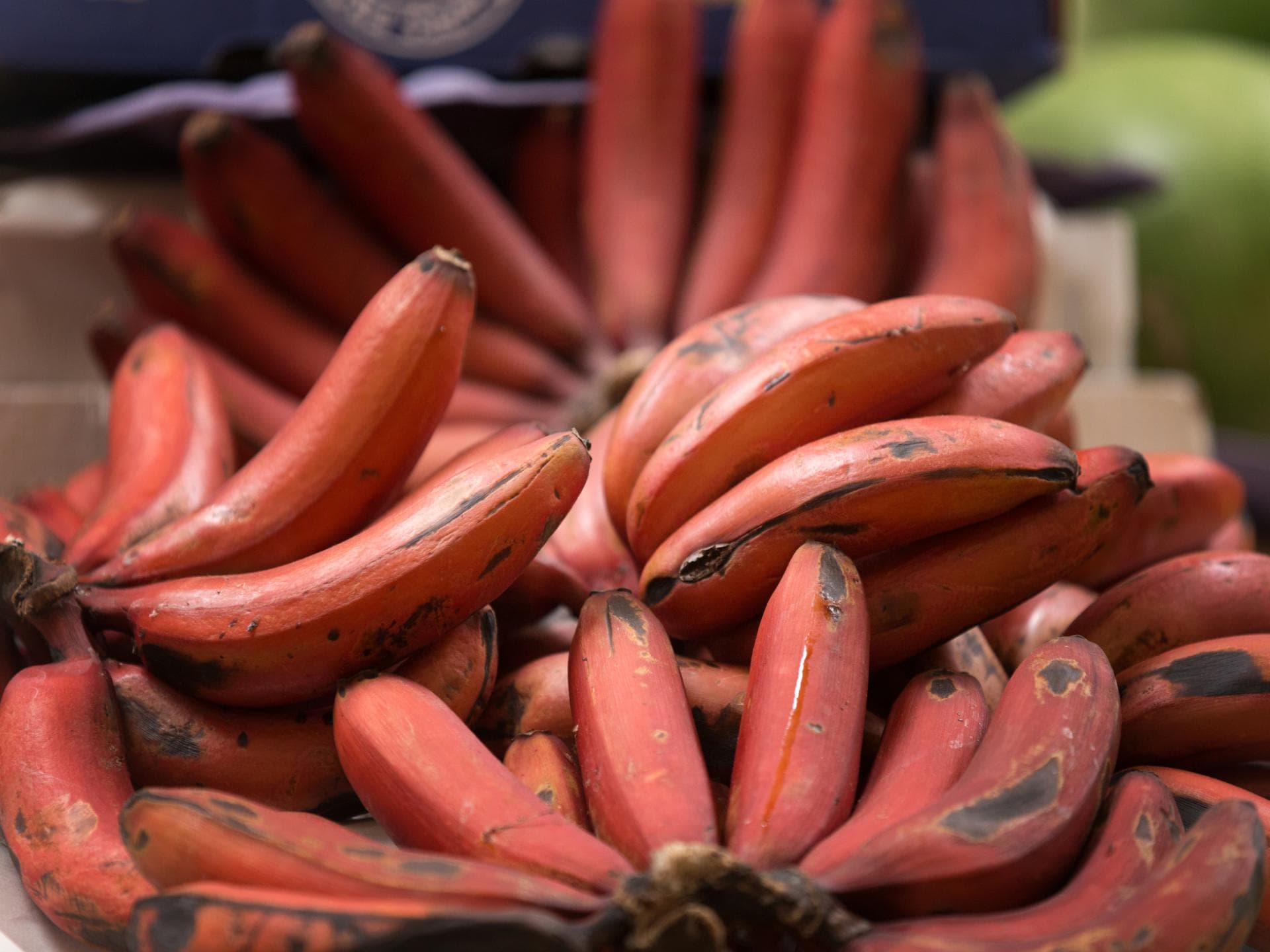 Rote Bananen