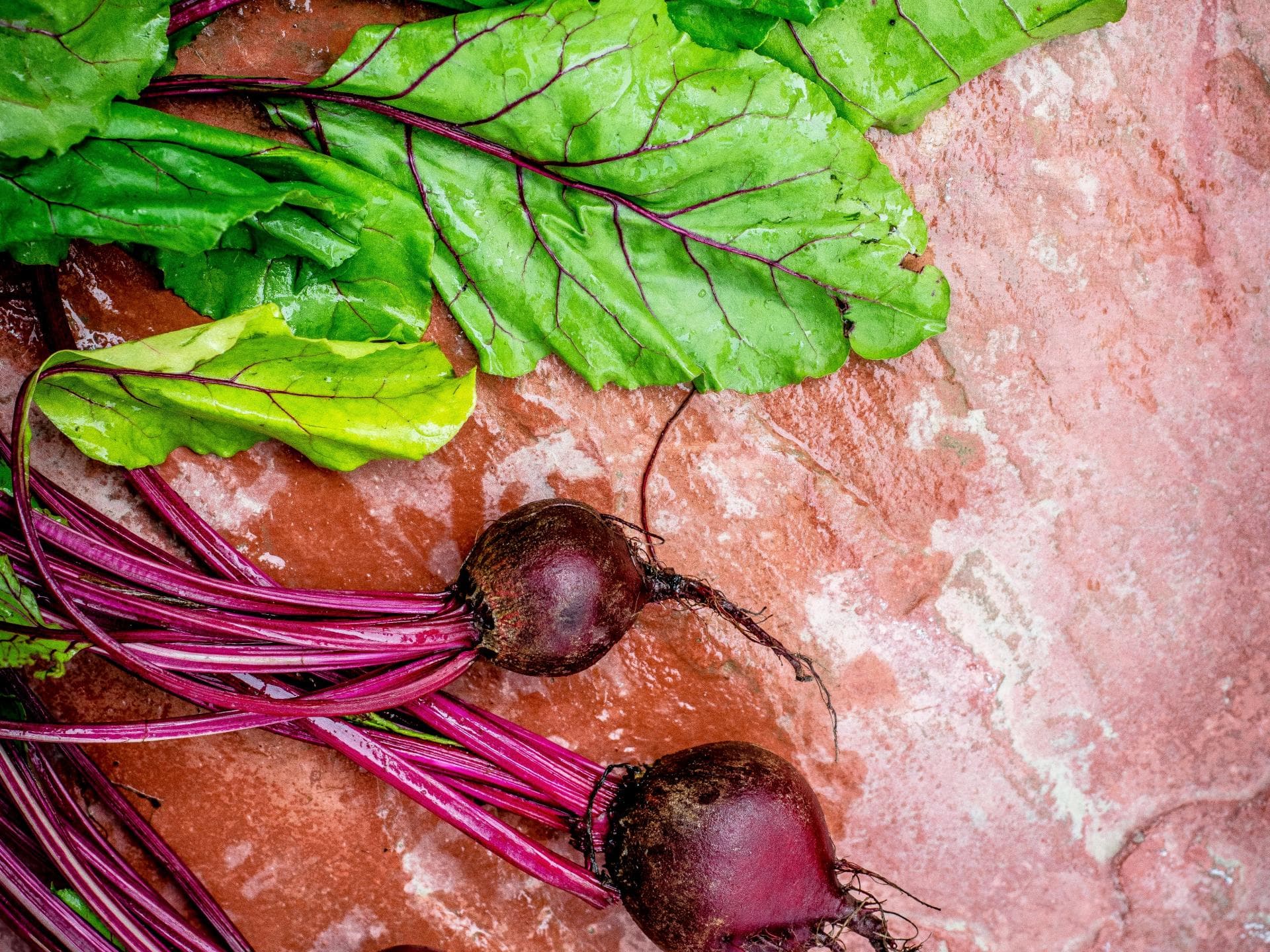 frische Rote Beete auf Tisch