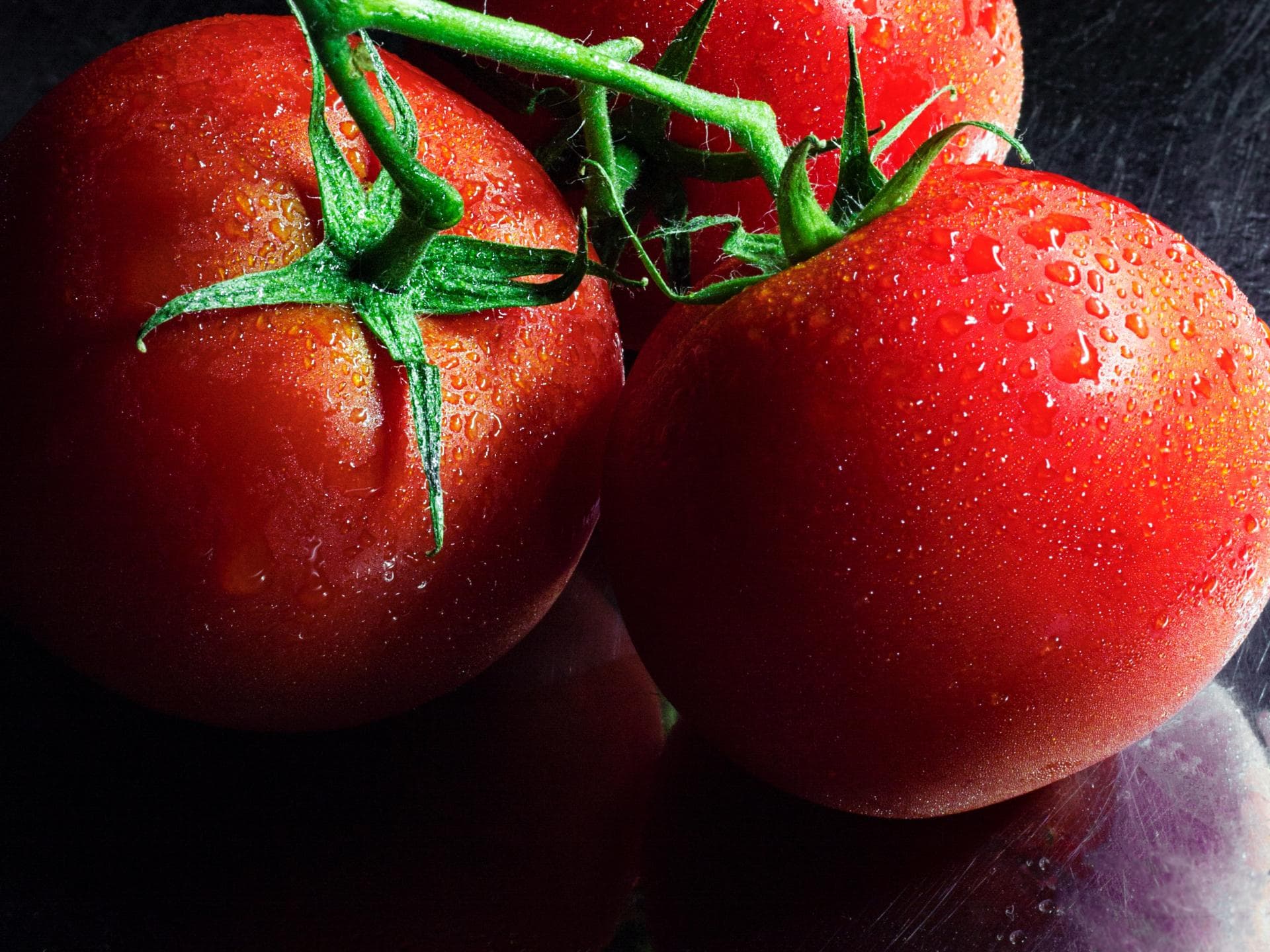 frische Tomaten
