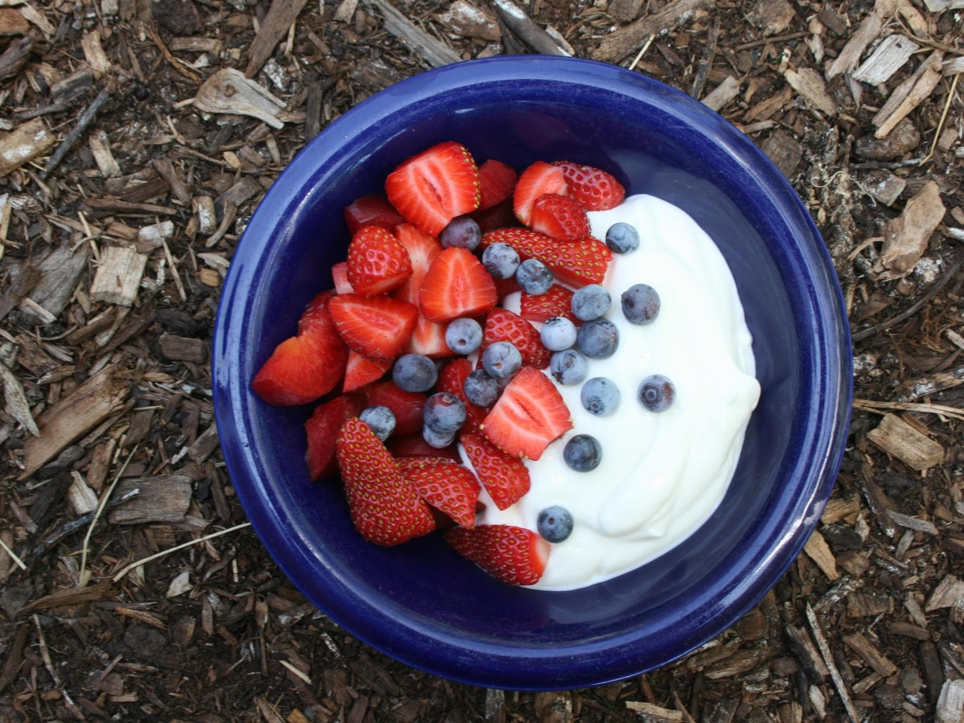 Joghurt mit frischen Früchten und Beeren