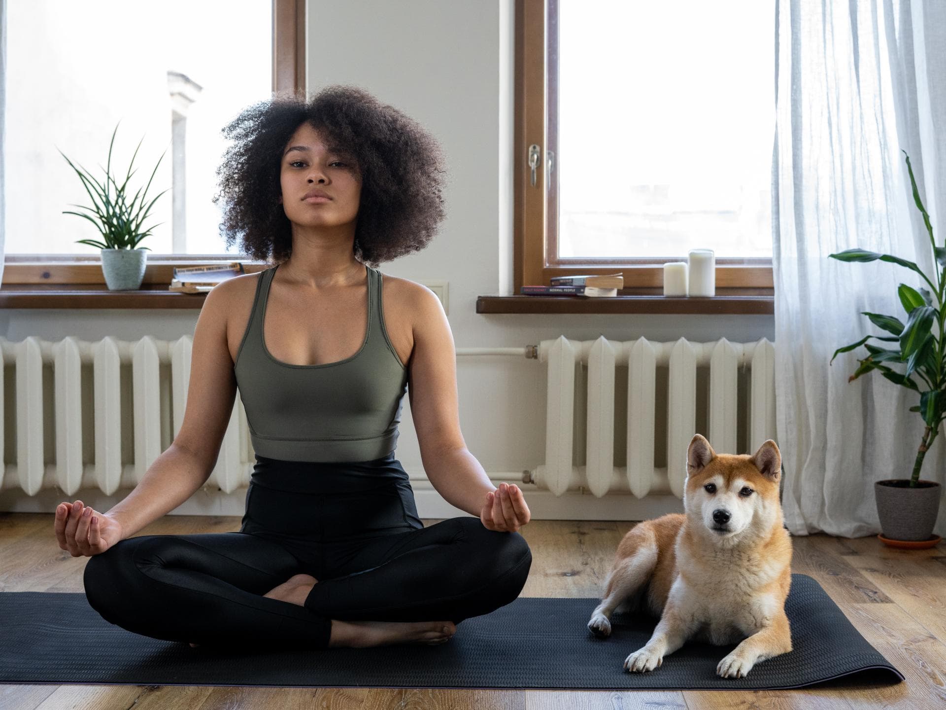 Yoga mit Hund Yoga mit Hund