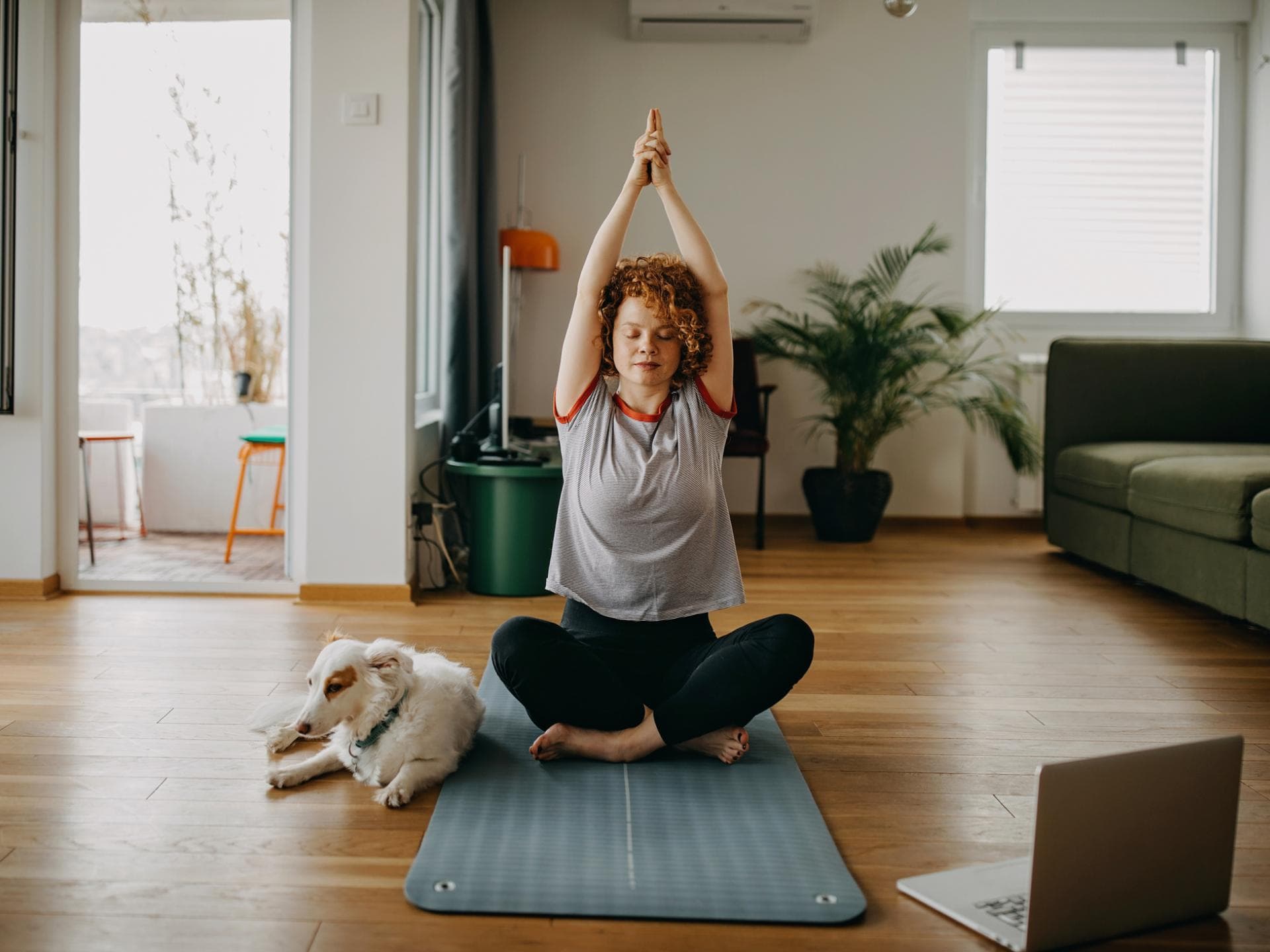 Yoga mit Hund