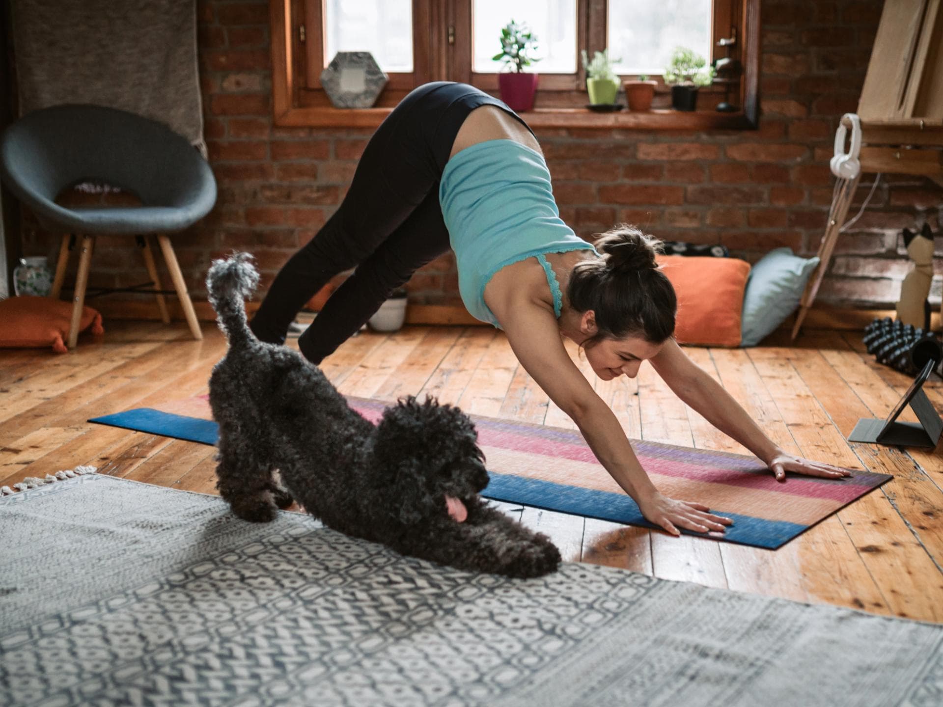 Yoga mit Hund