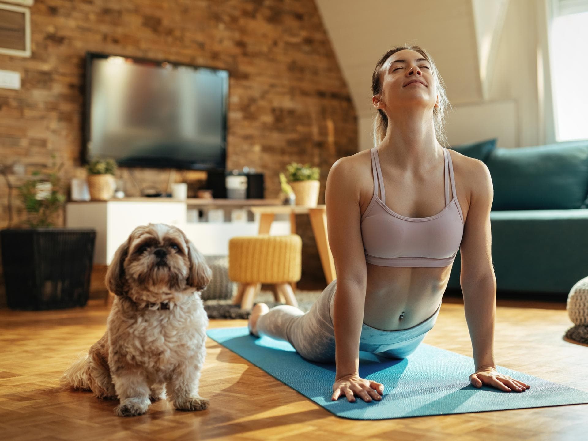 Yoga mit Hund