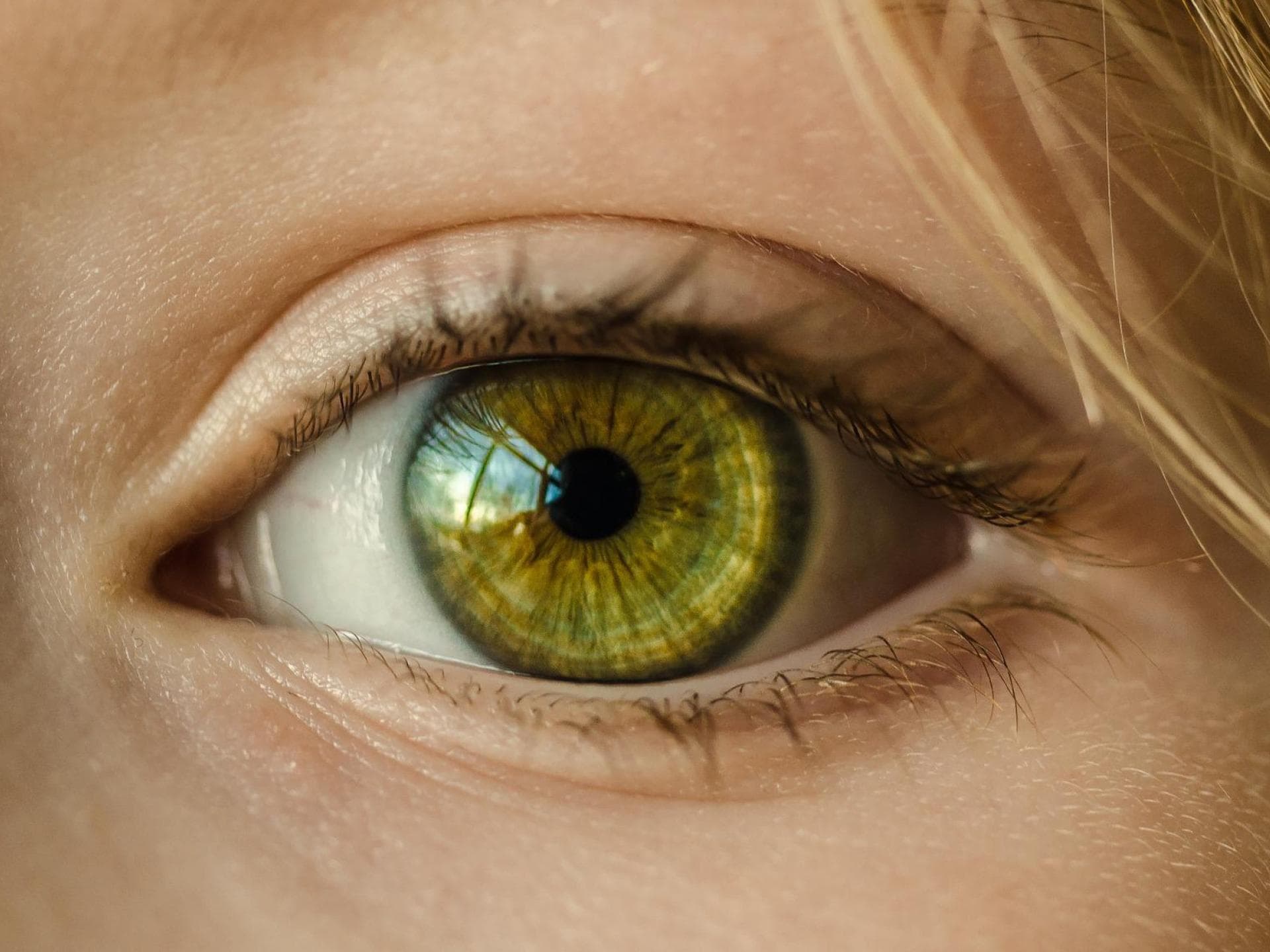 Grünes Auge Grünes Auge