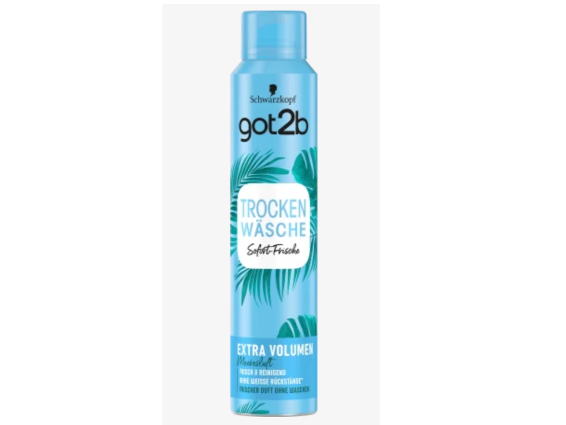 Trockenshampoo dünnes Haar