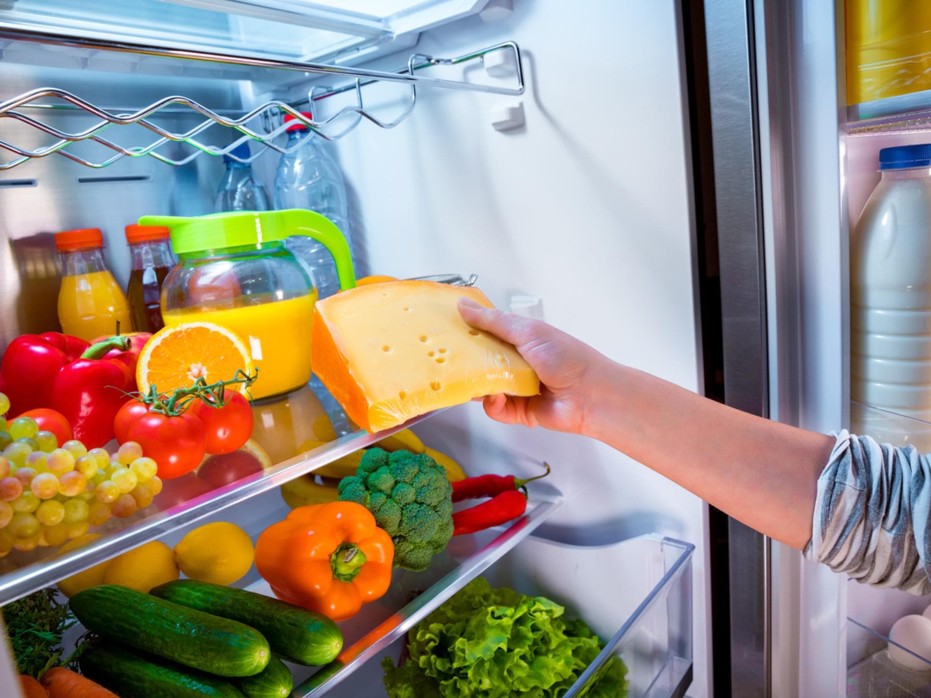 Käse wird in den Kühlschrank gelegt