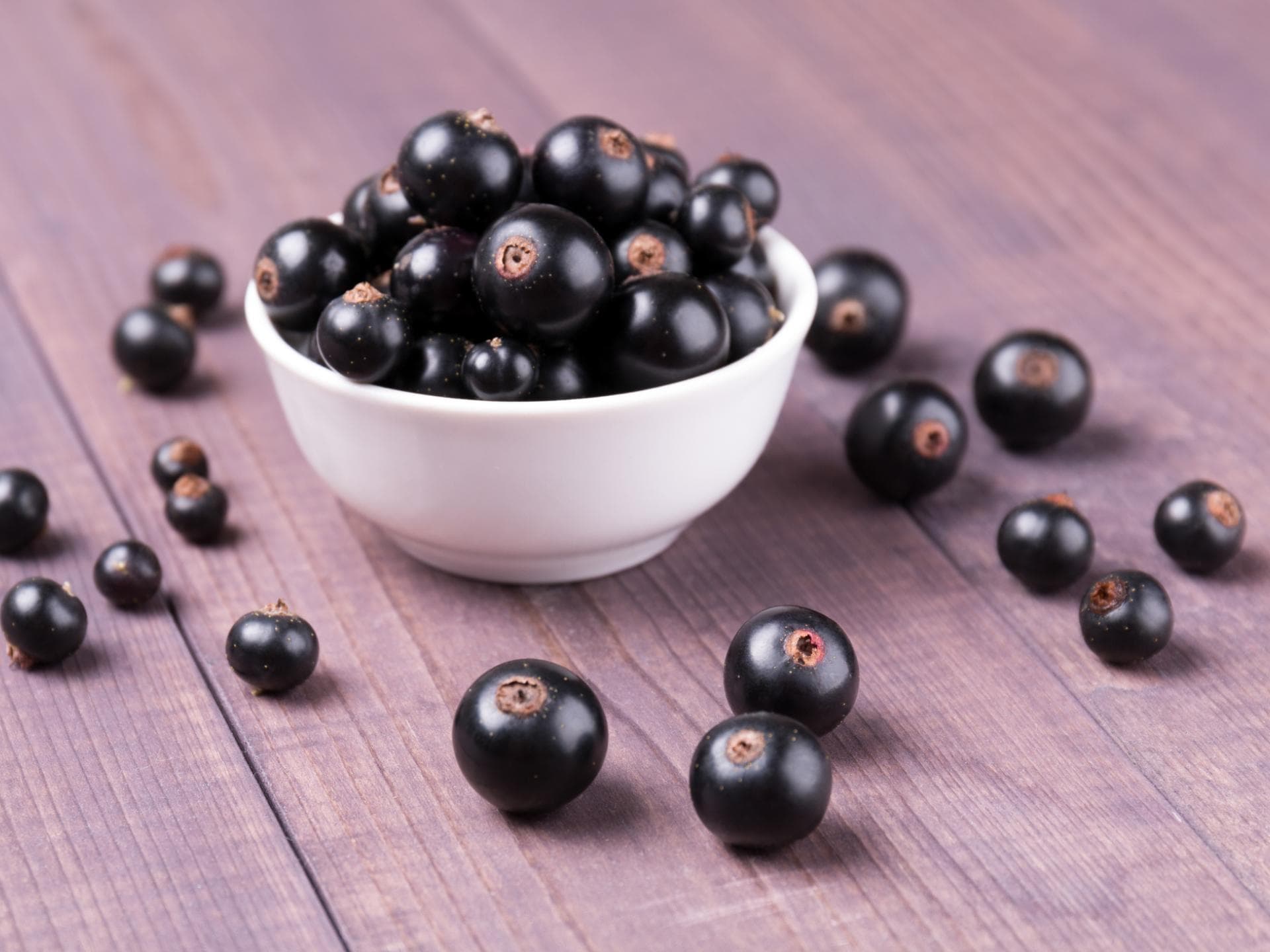 Schwarze Johannisbeeren Schwarze Johannisbeeren