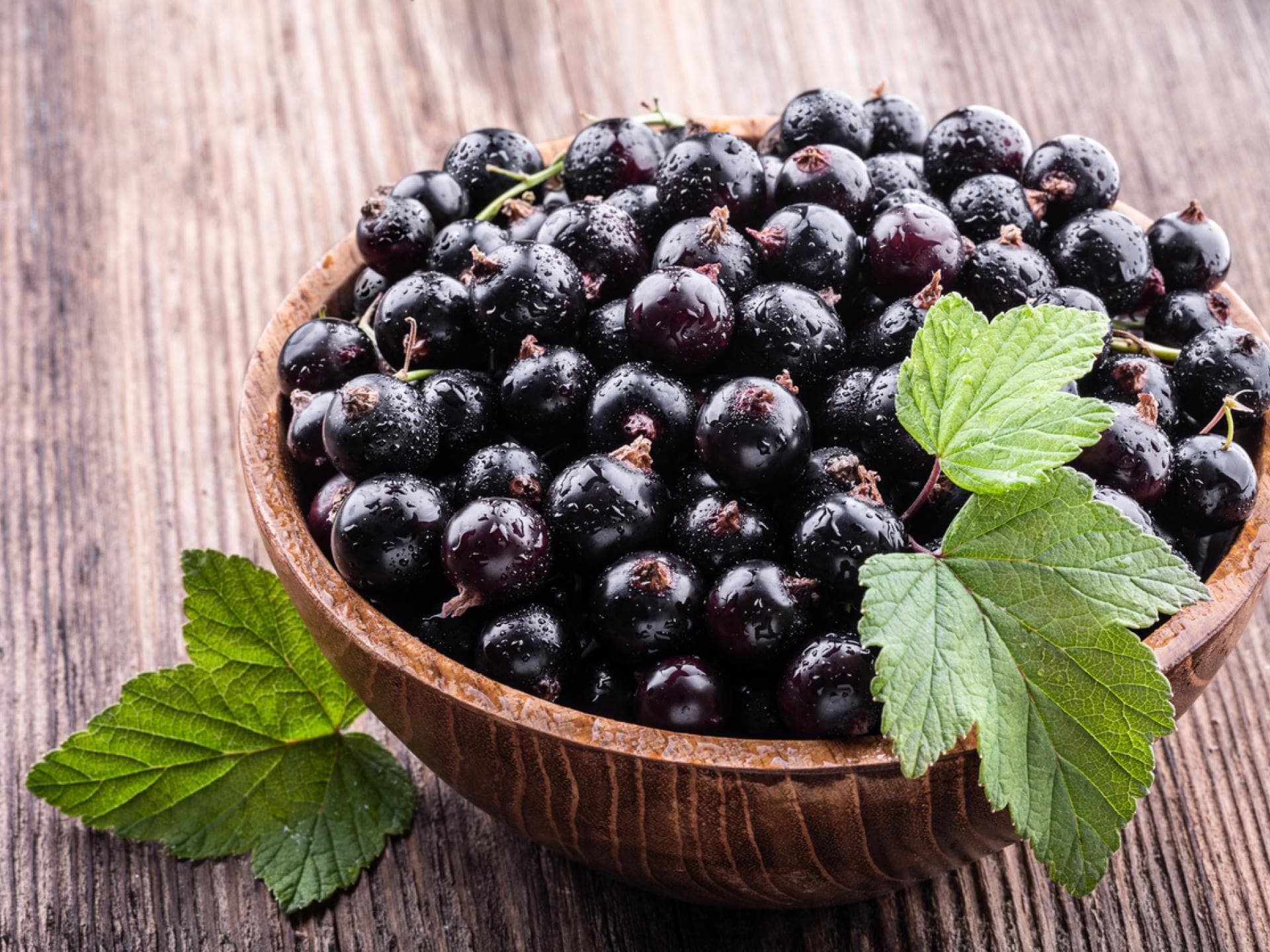 Eine Schale mit schwarzen Johannisbeeren