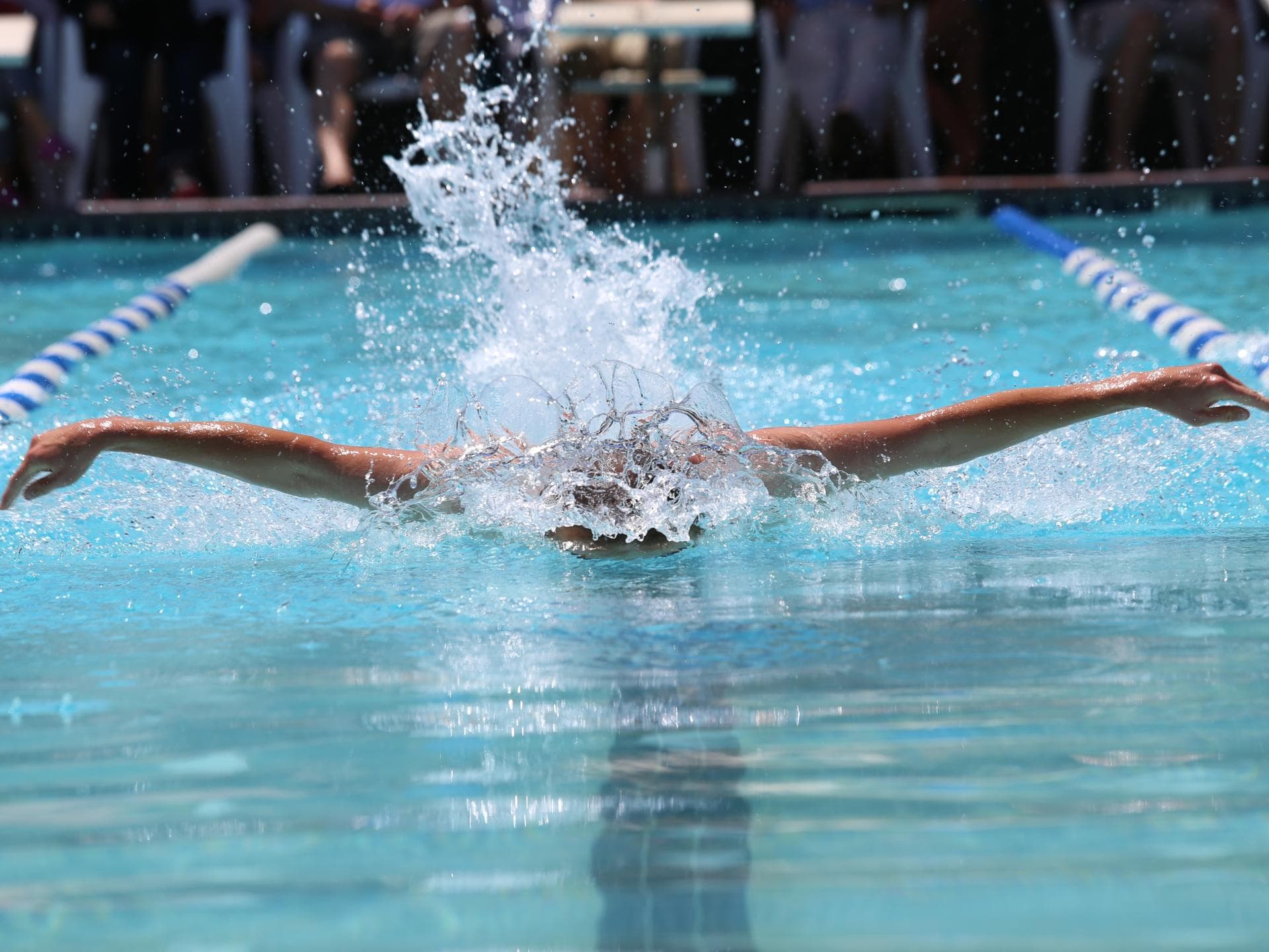 Schwimmer
