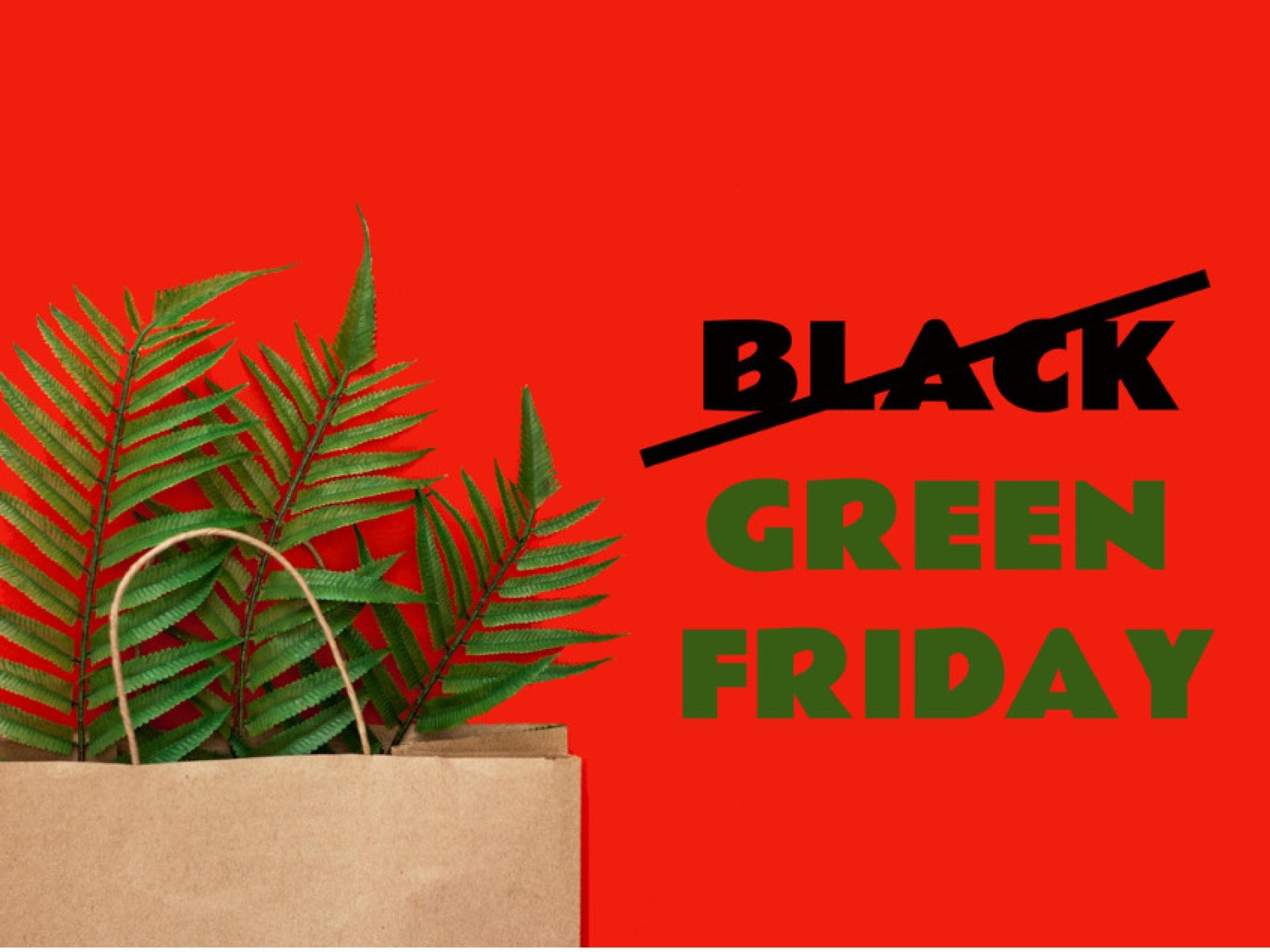 Der Green Friday ist ein Tag des nachhaltigen Konsums.