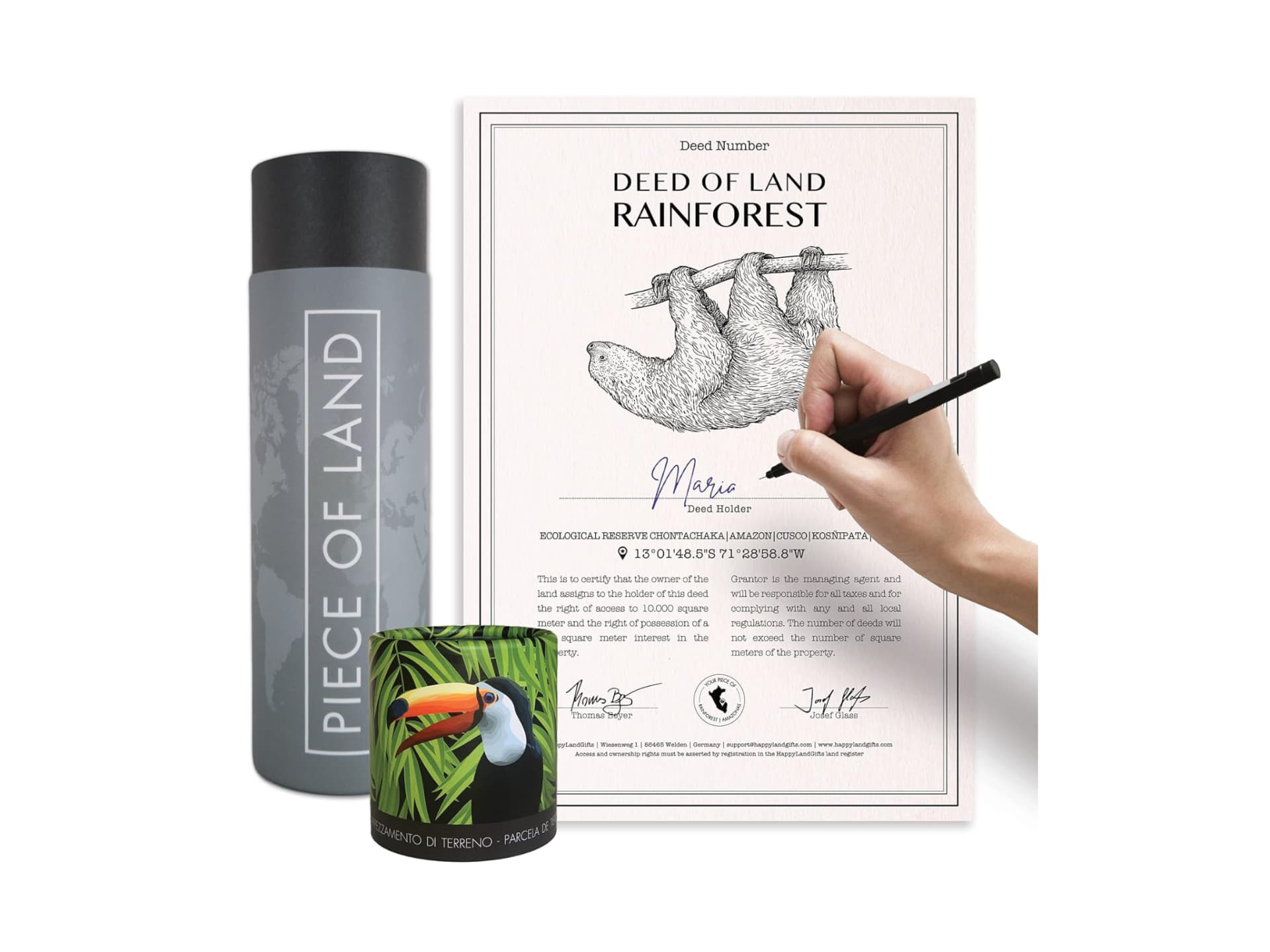 Geschenk Regenwald