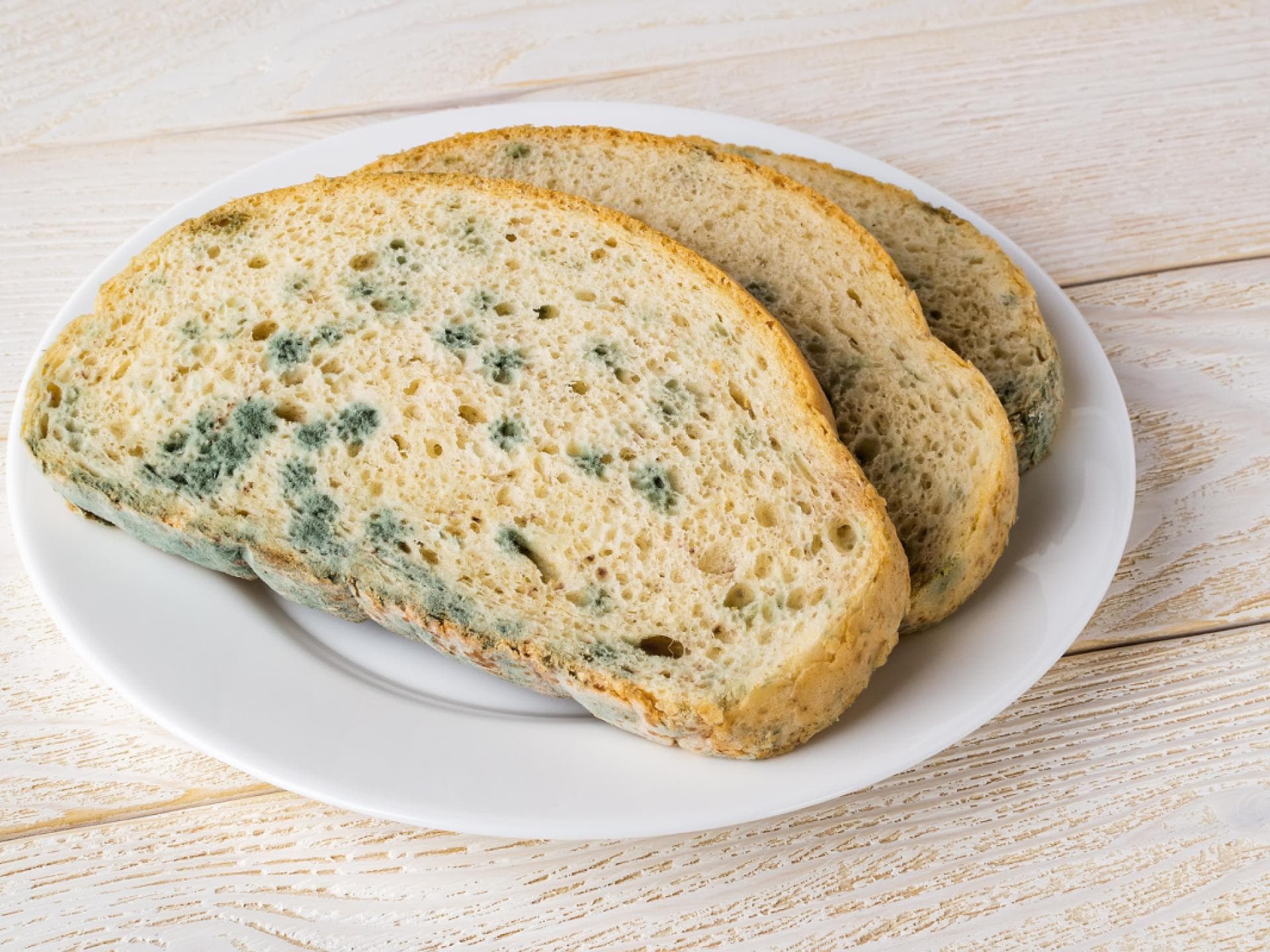 Brotscheibe mit Schimmel
