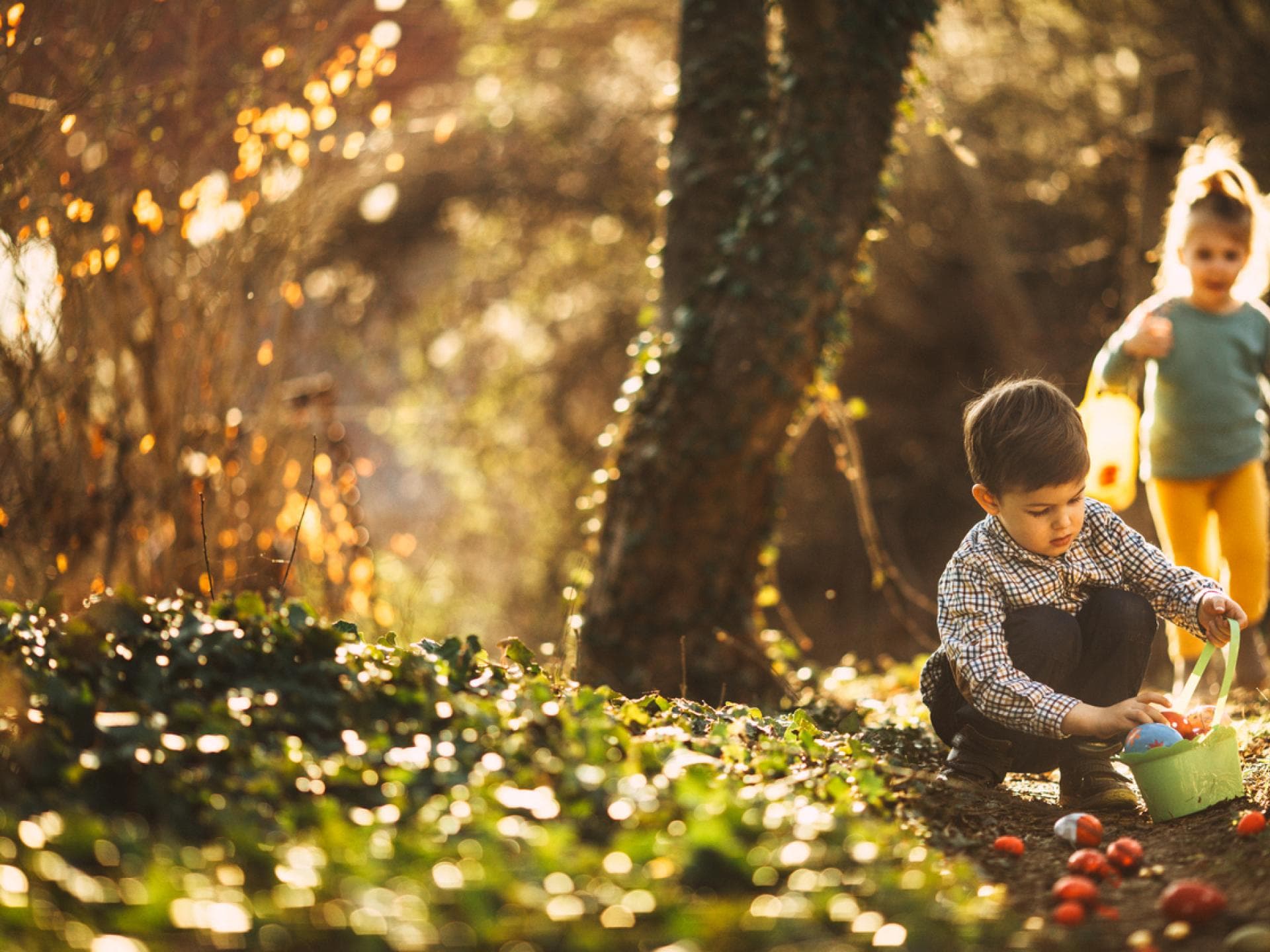 Kinder sammeln Ostereier im Wald