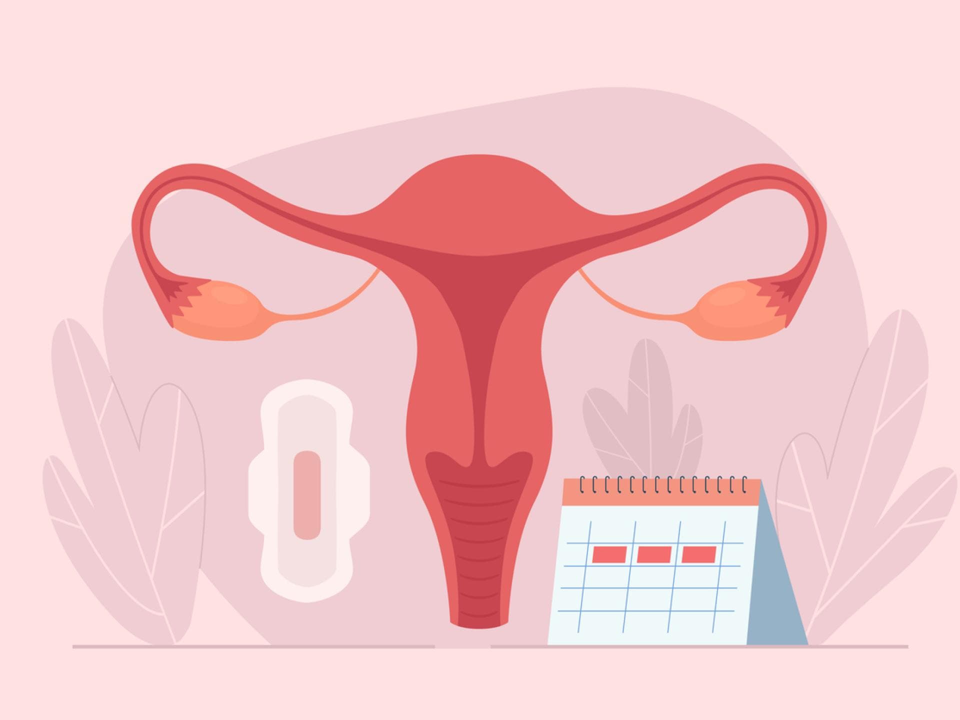 Der Menstruationszyklus ist ein enorm komplexer Prozess Grafik einer Gebärmutter mit Bine und Kalender, um den Menstruationszyklus darzustellen