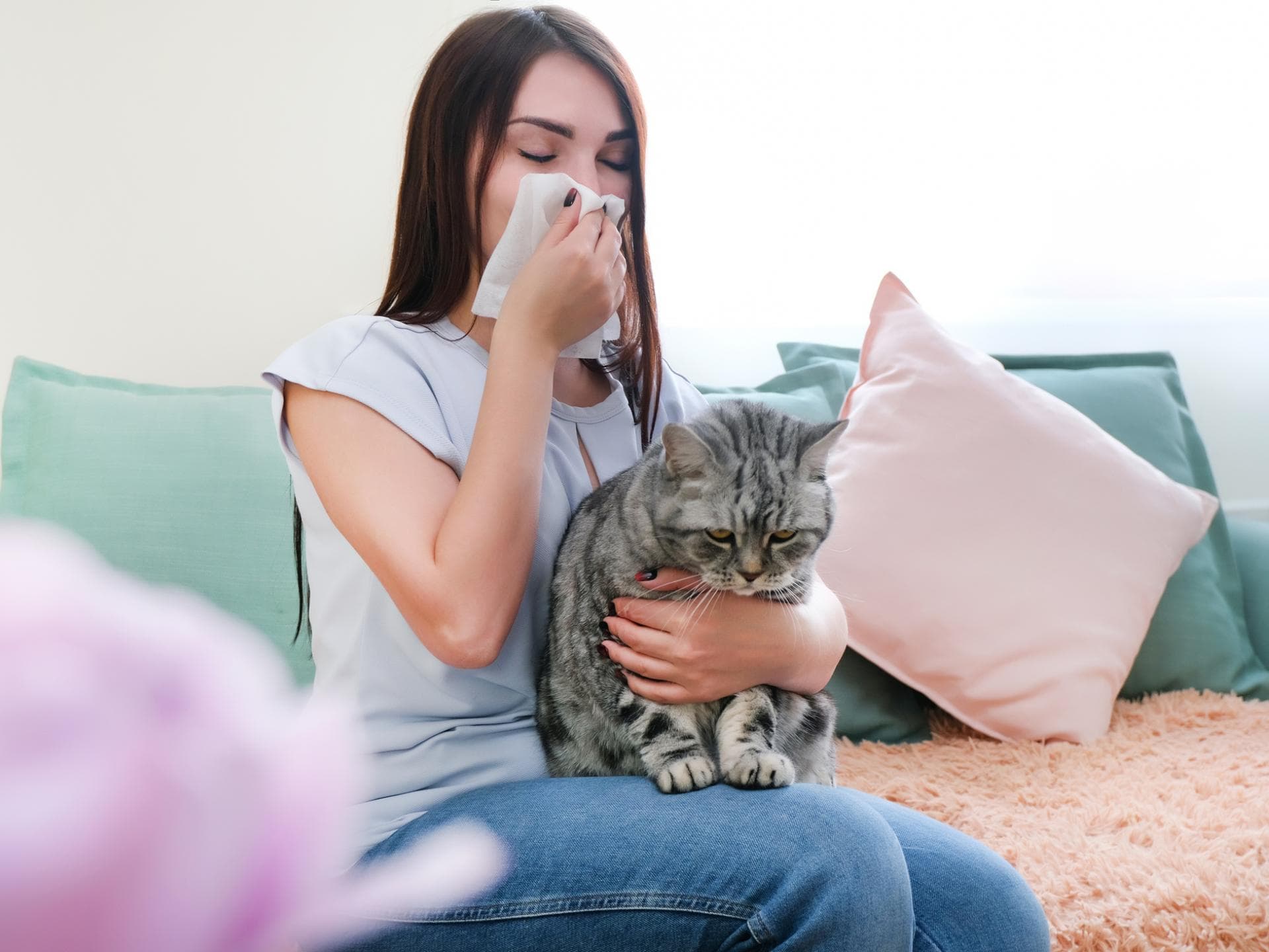 Frau hat Katze auf dem Schoß und muss sich die Nase putzen