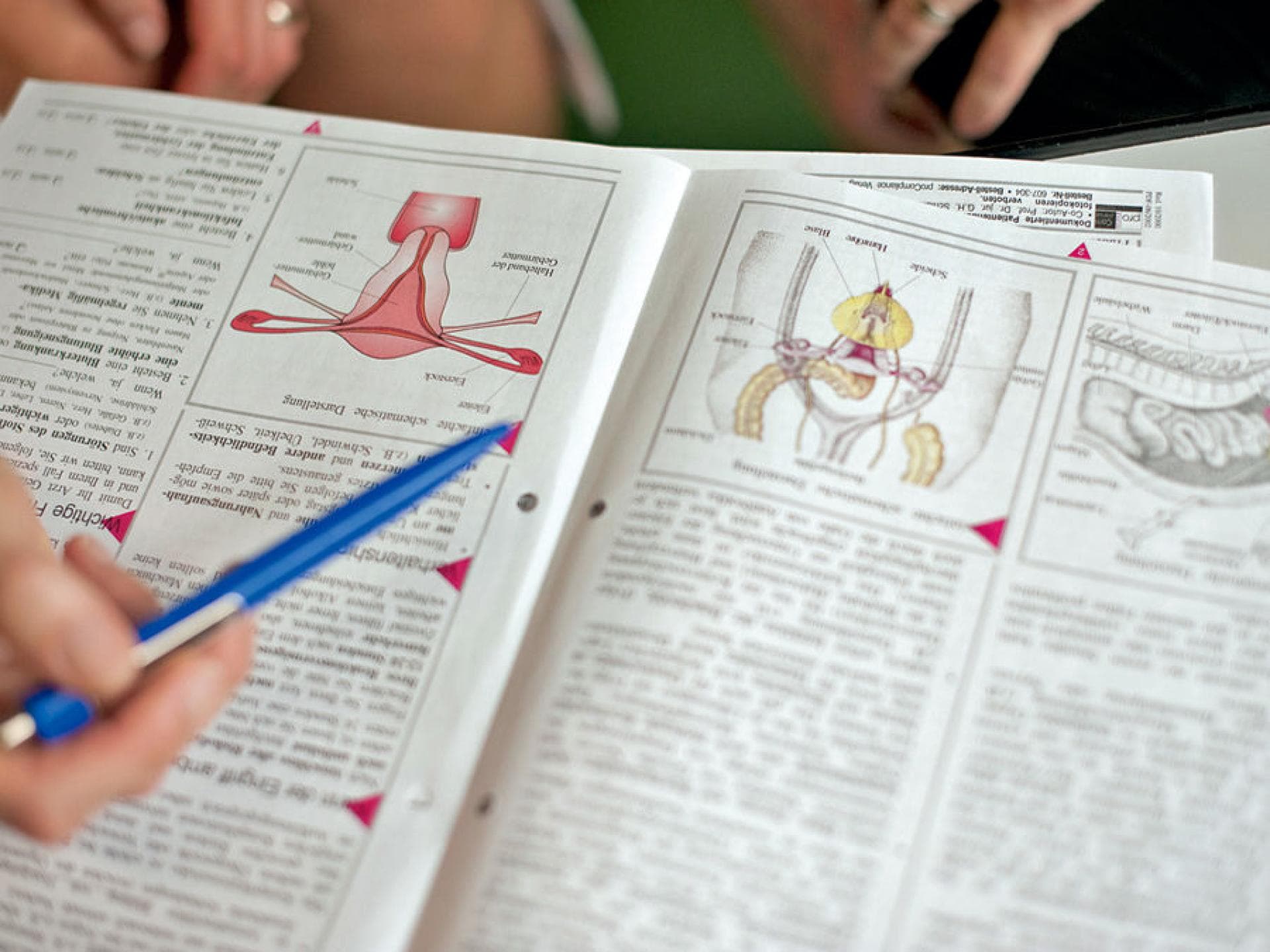 Es wird geschätzt, dass zwischen 8 und 15 Prozent aller Frauen in Deutschland an Endometriose leiden. 