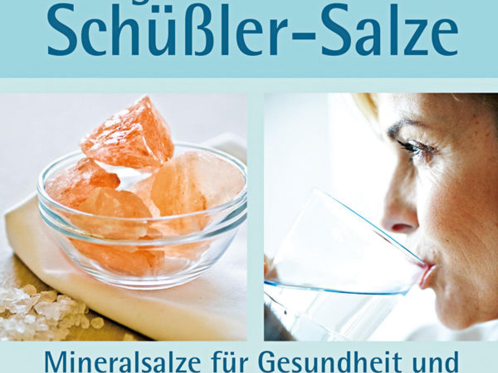 Das große Handbuch Schüßler-Salze