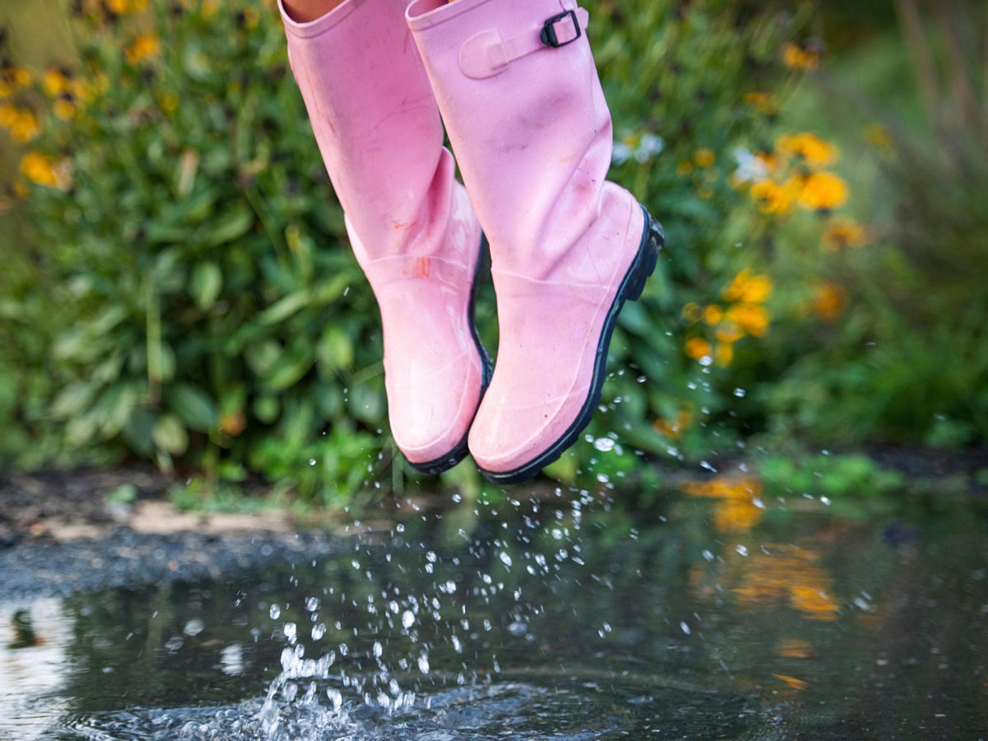 Gummistiefel in Rosa