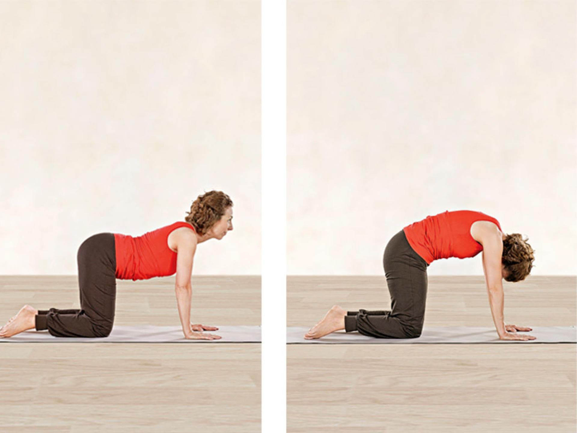 Yoga-Übungen Katze und Kuh Yoga-Übungen Katze und Kuh