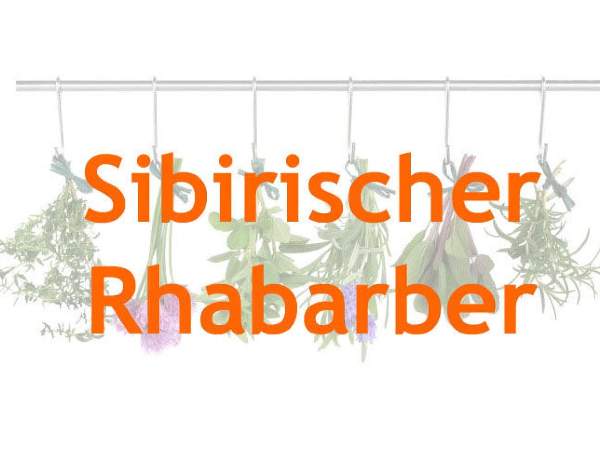mittel-wechseljahre mittel-wechseljahre