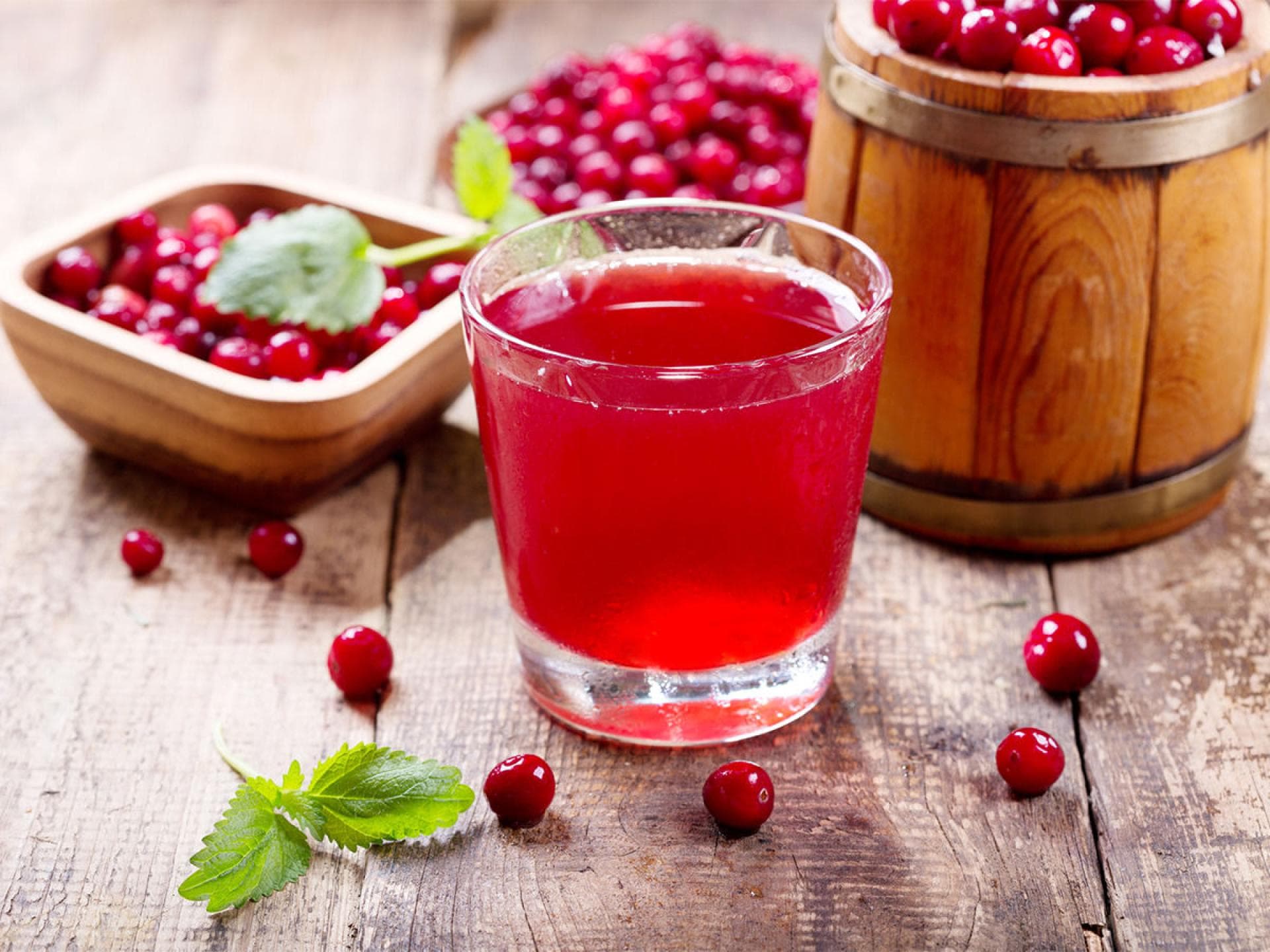 Heilpflanze: Cranberry (Vaccinium Macrocarpon)