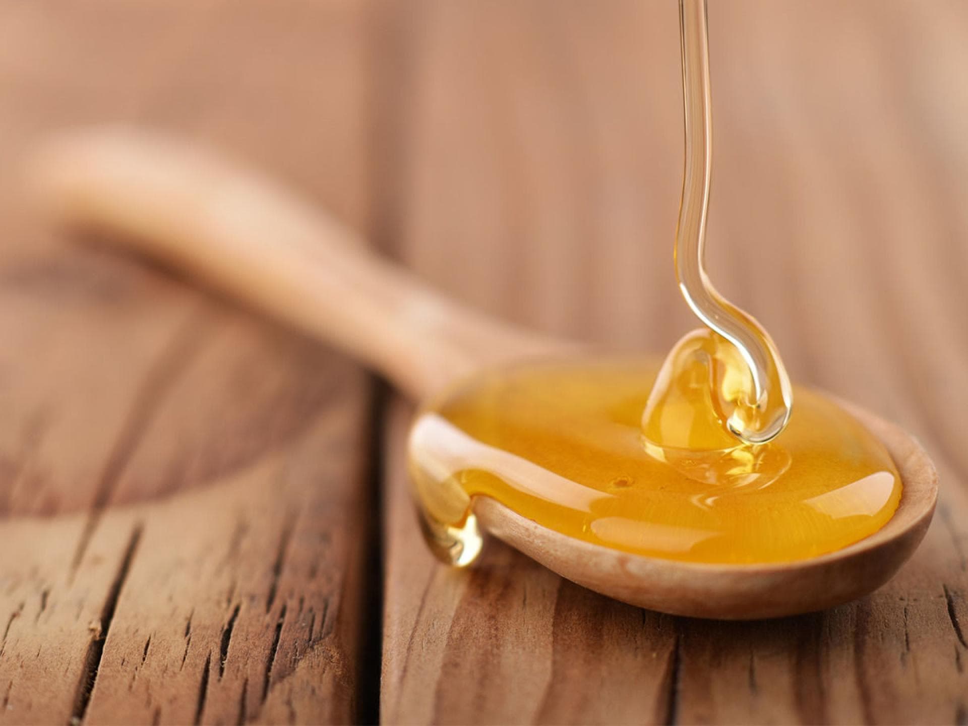Agavendicksaft als Zuckerersatz Agavendicksaft als Zuckerersatz