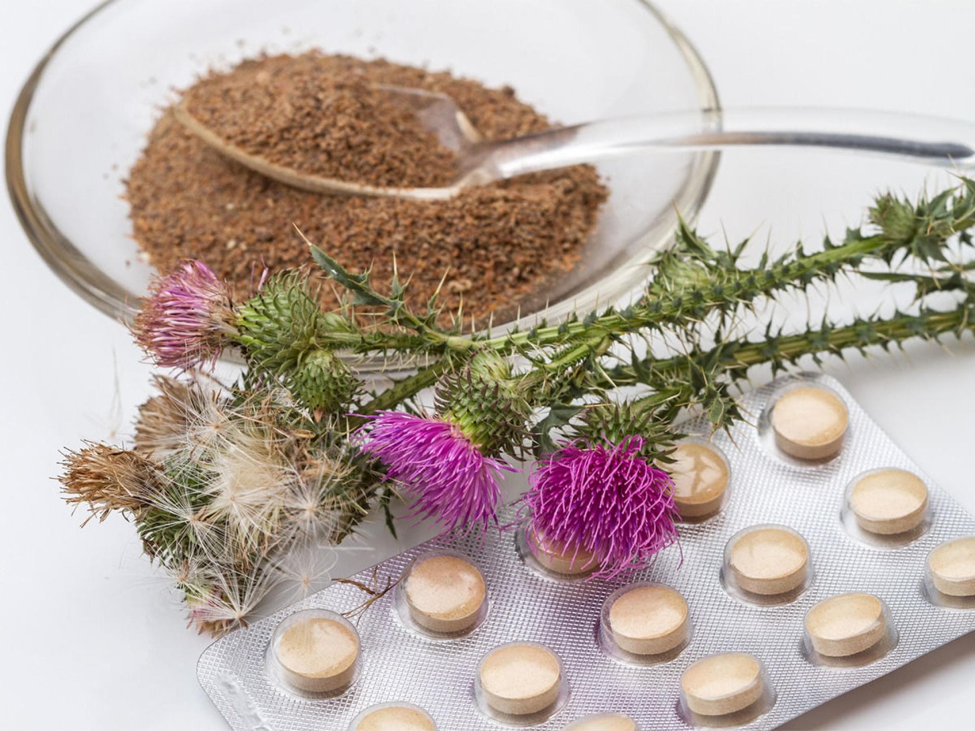 Reinigung der Leber mit Mariendiendistel