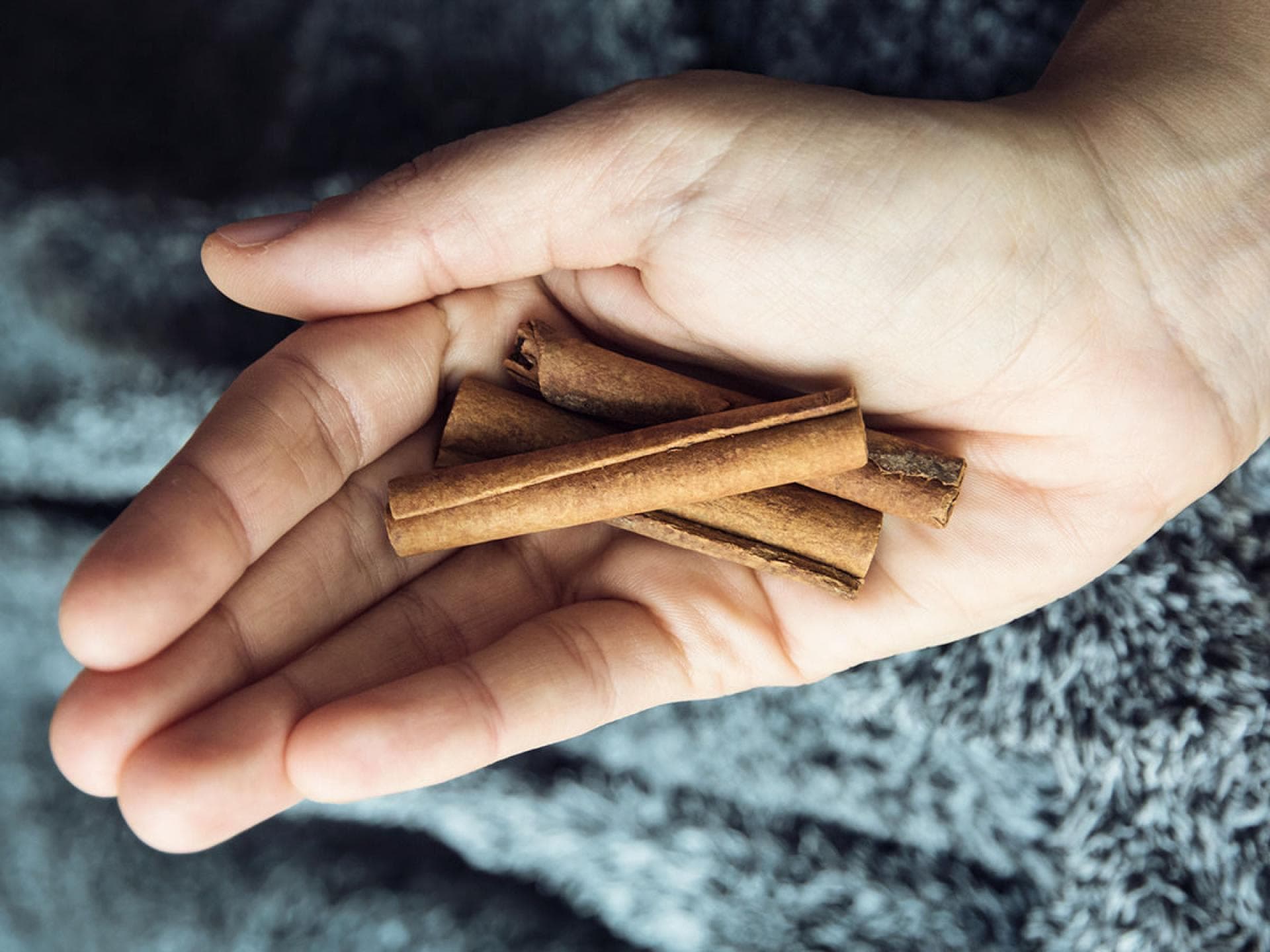 Zimt schützt den Körper Zimt schützt den Körper