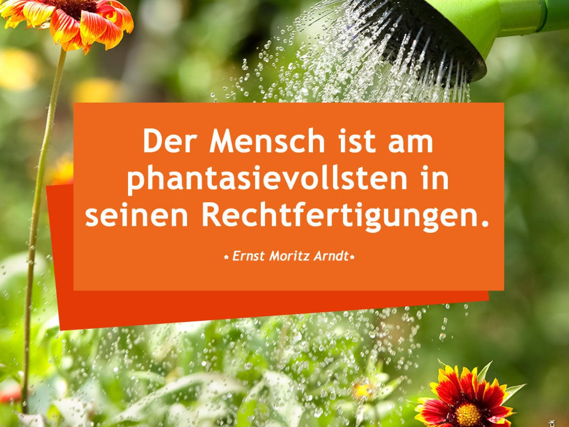 Der Mensch ist am phantasievollsten in seinen Rechtfertigungen. 